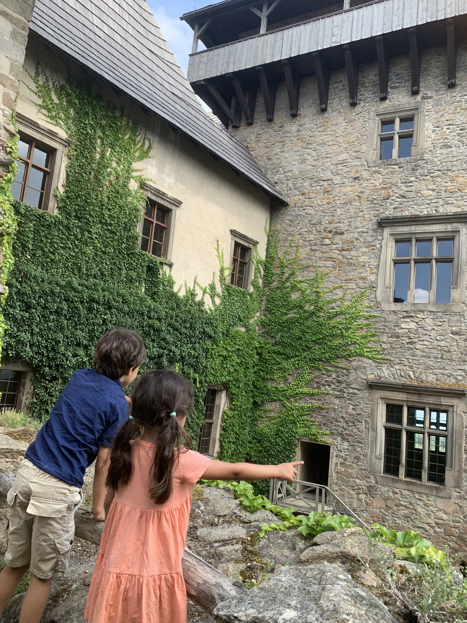 Hrad Lipnice nad Sázavou – hrady, zámky, zříceniny, Lipnice nad Sázavou – fotka 5