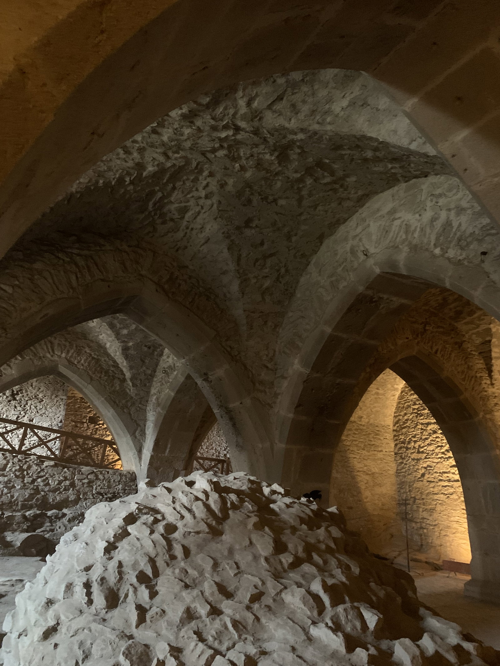 Hrad Lipnice nad Sázavou – hrady, zámky, zříceniny, Lipnice nad Sázavou – fotka 7