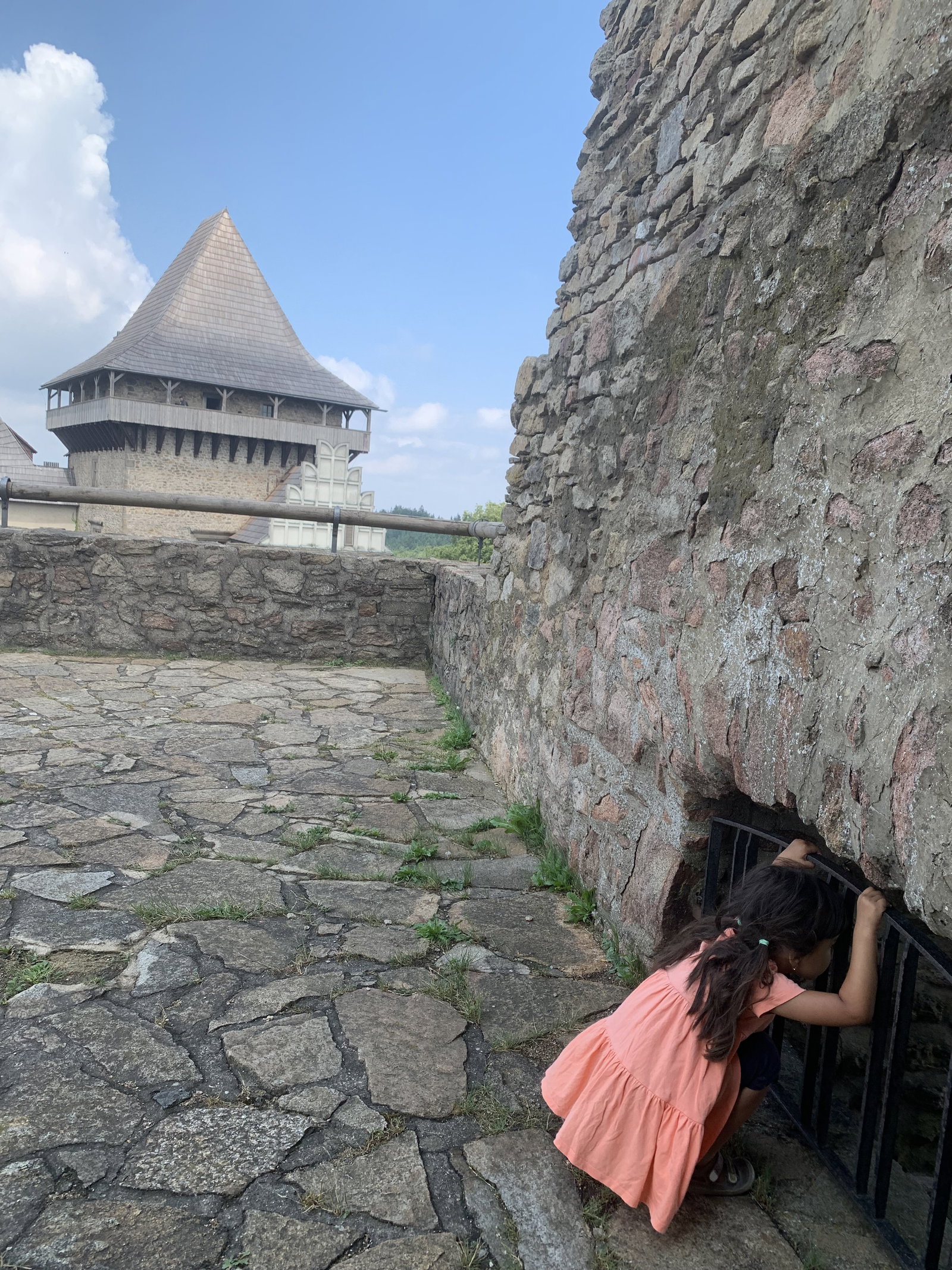 Hrad Lipnice nad Sázavou – hrady, zámky, zříceniny, Lipnice nad Sázavou – fotka 9
