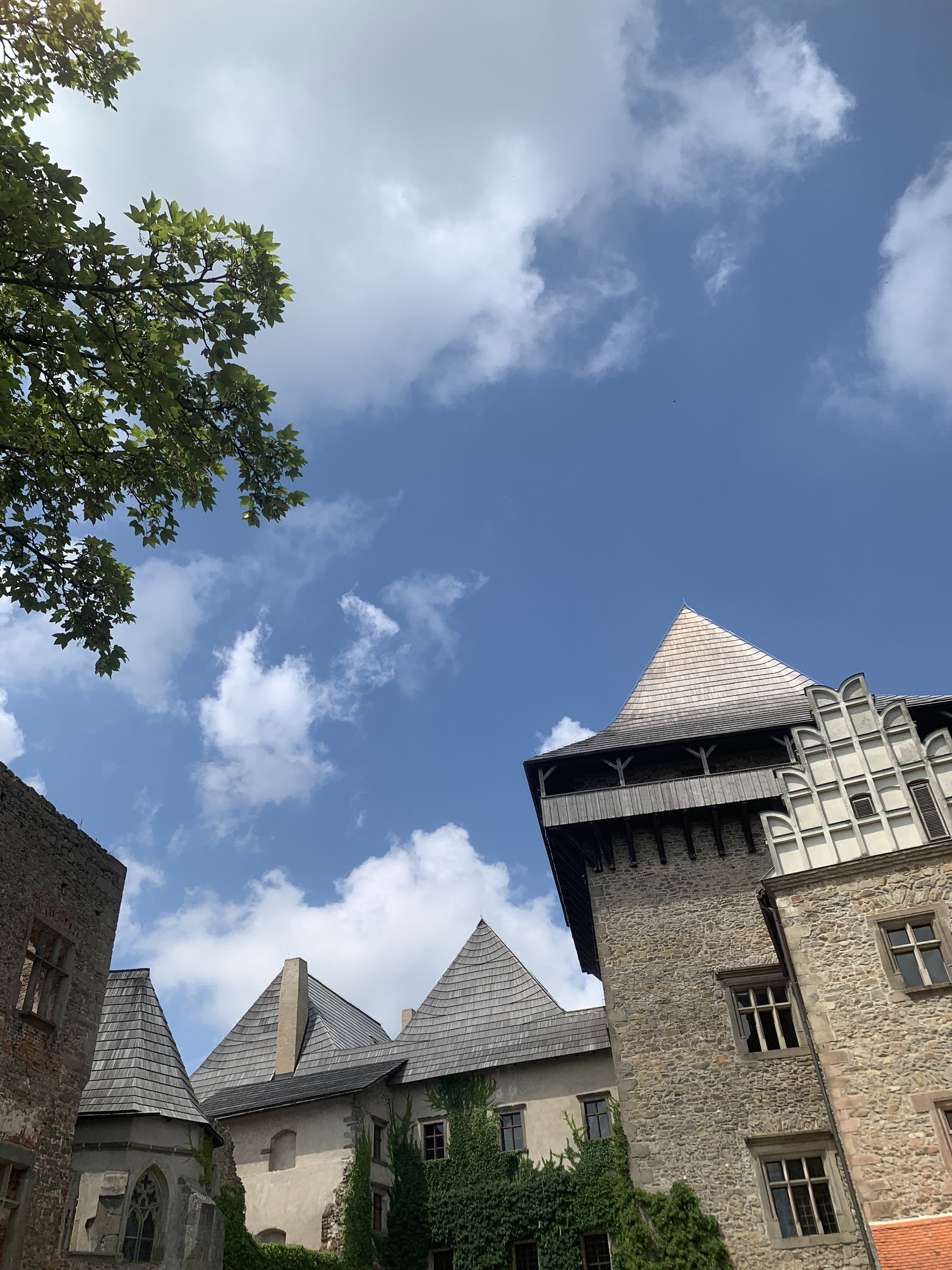 Hrad Lipnice nad Sázavou – hrady, zámky, zříceniny, Lipnice nad Sázavou – fotka 15