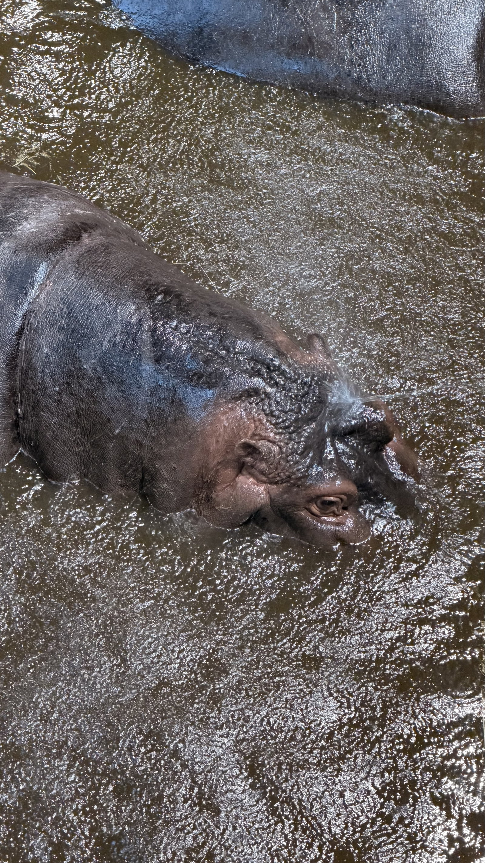 Zoo Ostrava – zoo a farmy, Ostrava – fotka 2