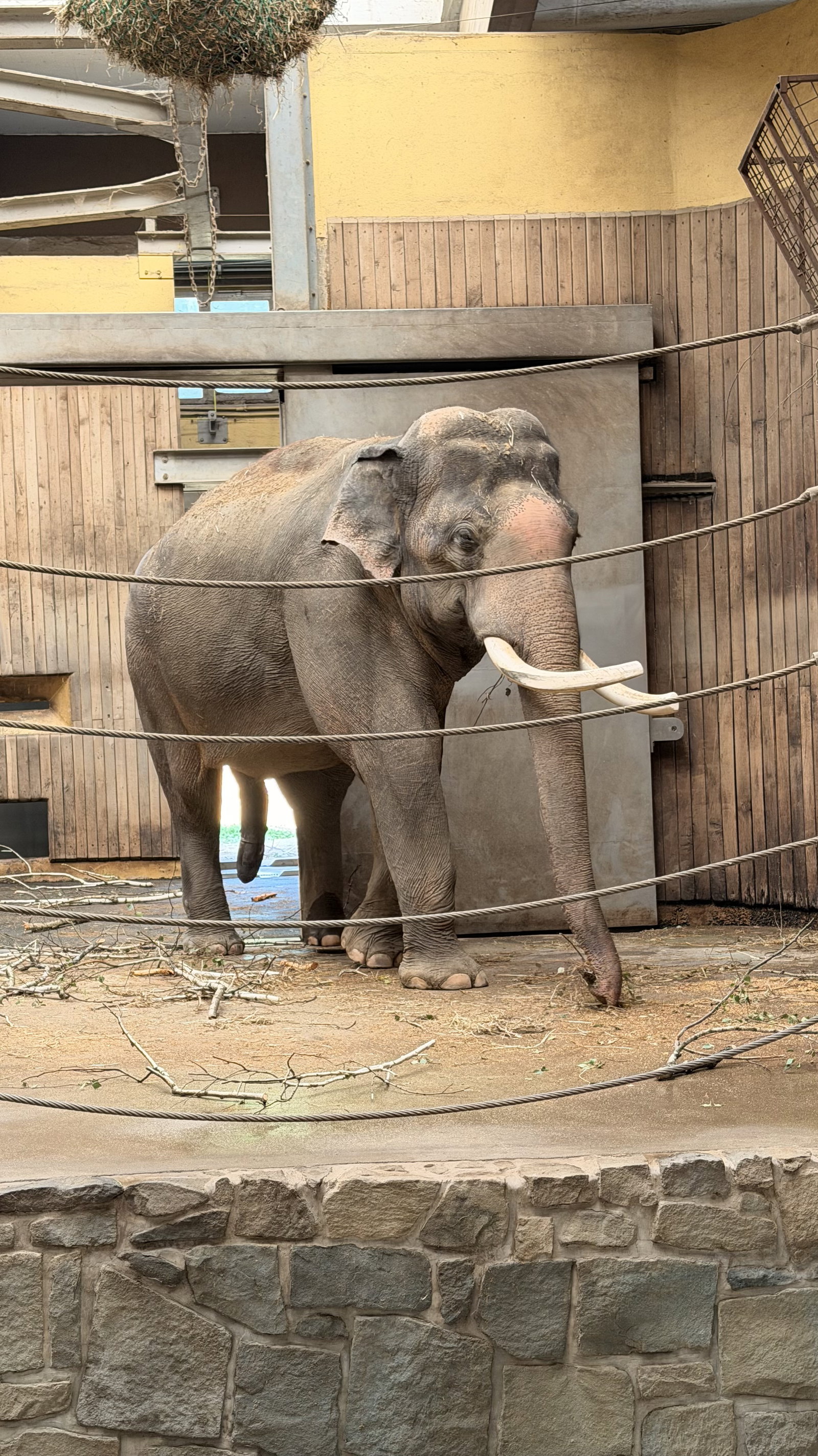 Zoo Ostrava – zoo a farmy, Ostrava – fotka 3
