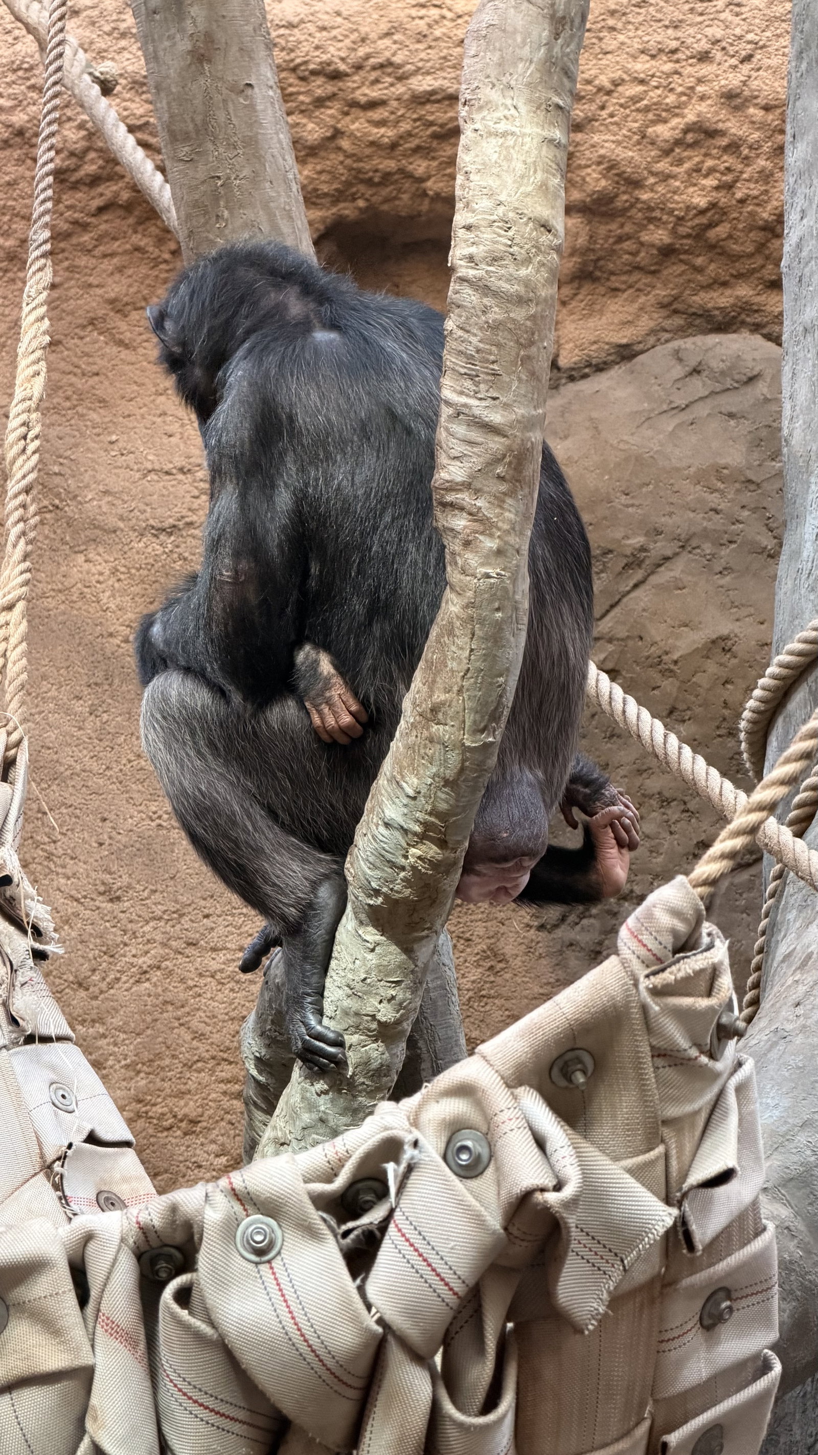 Zoo Ostrava – zoo a farmy, Ostrava – fotka 5
