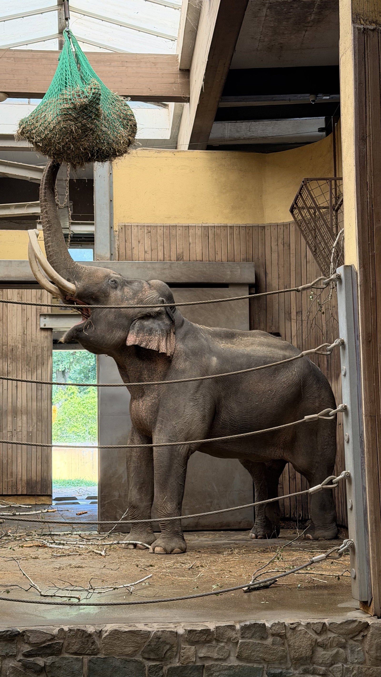 Zoo Ostrava – zoo a farmy, Ostrava – fotka 10