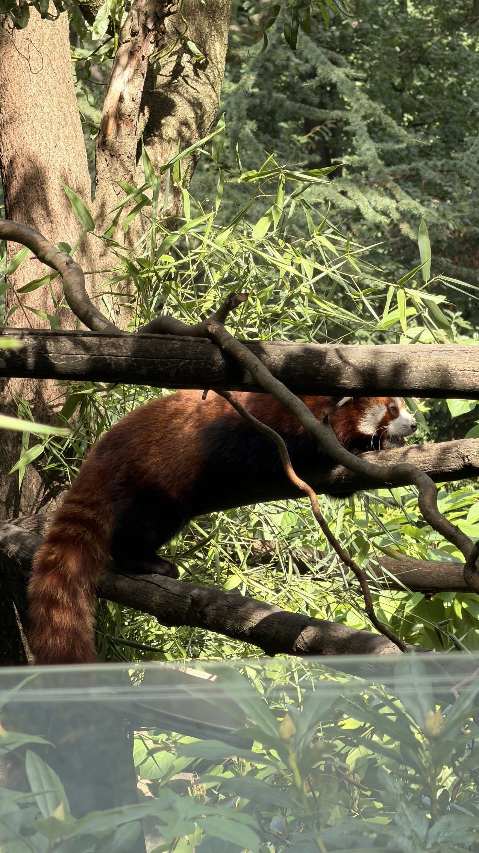 Zoo Ostrava – zoo a farmy, Ostrava – fotka 12