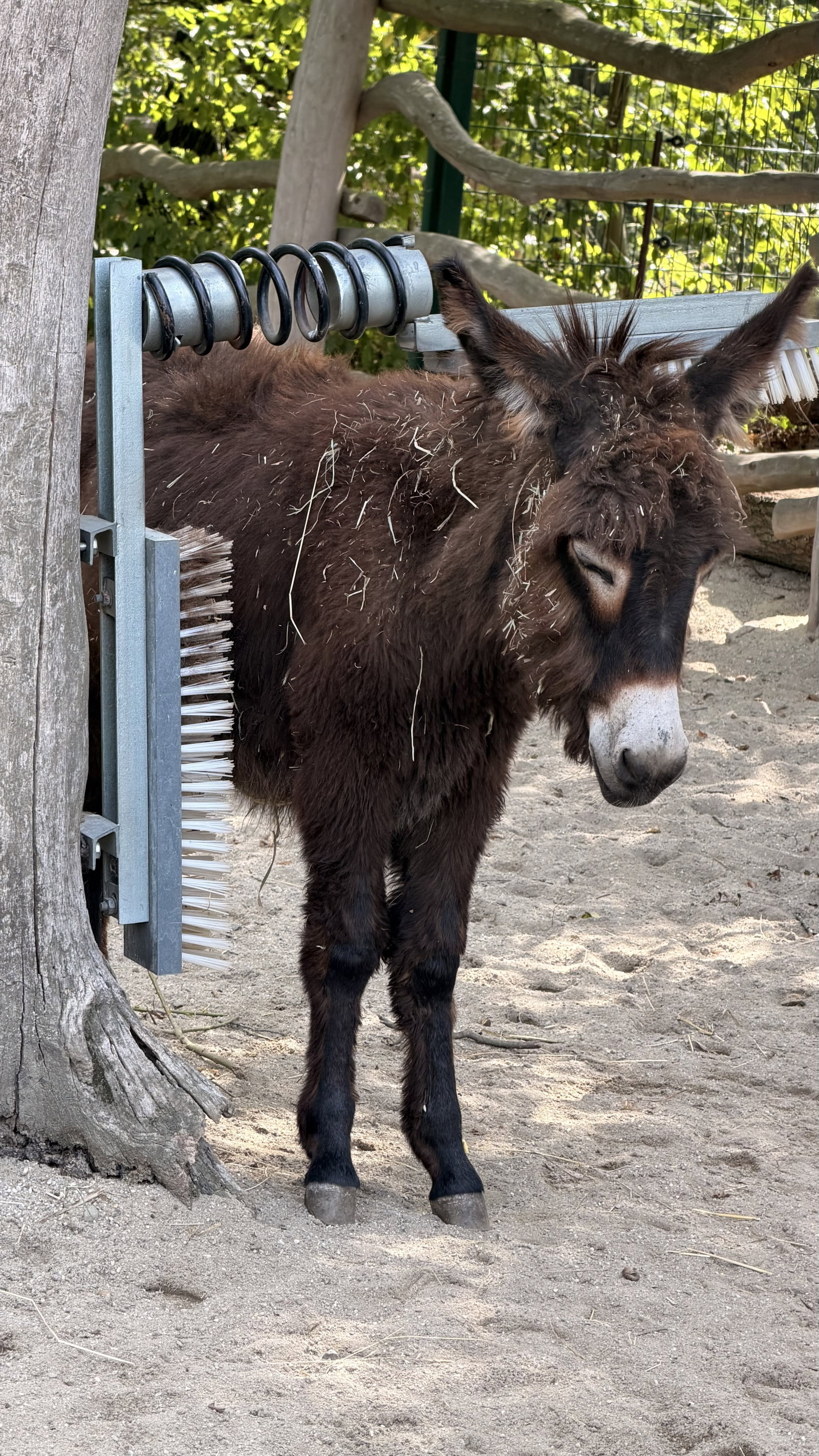 Zoo Ostrava – zoo a farmy, Ostrava – fotka 14