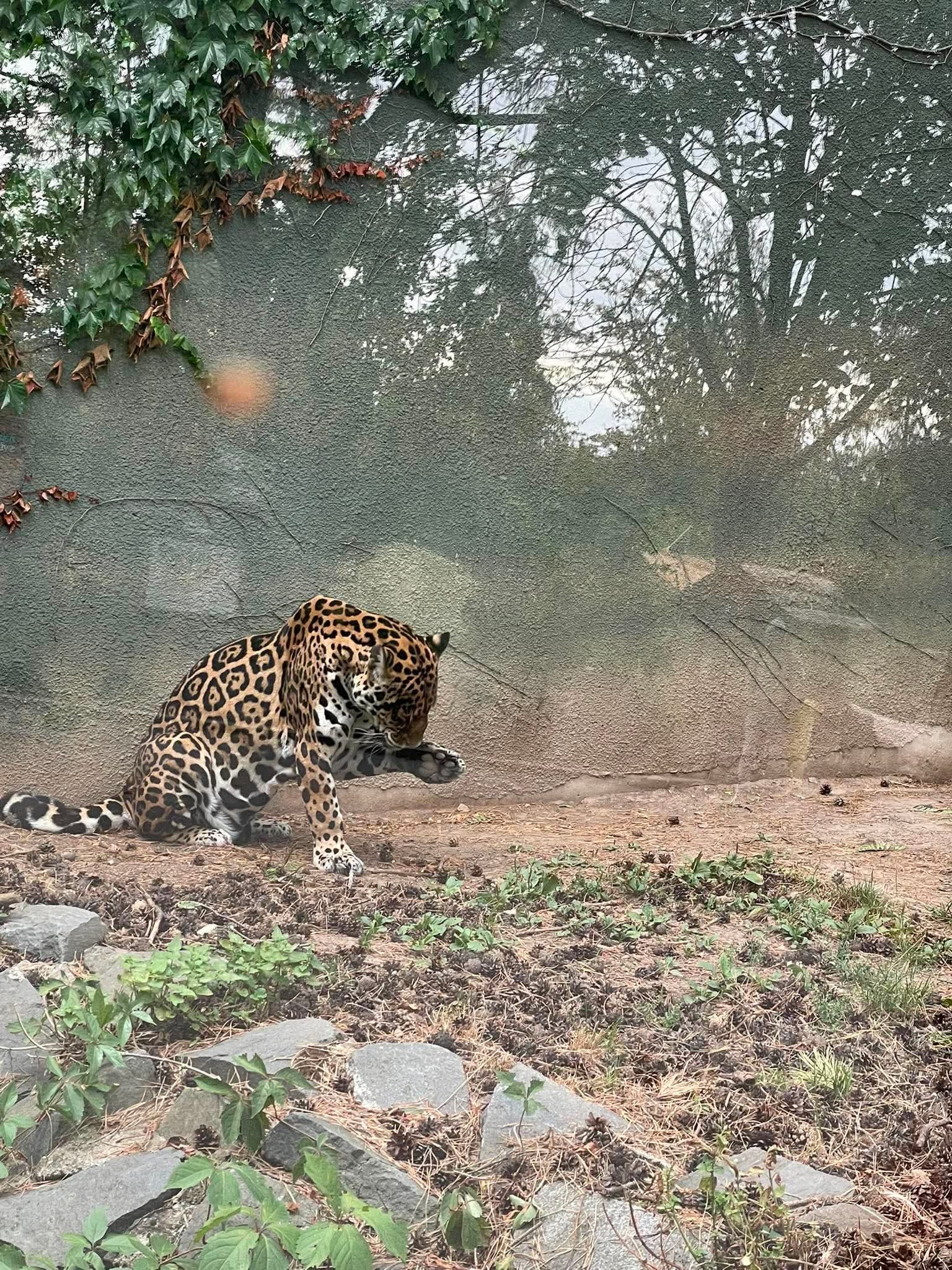 ZOO Olomouc – zoo a farmy, Olomouc – fotka 4