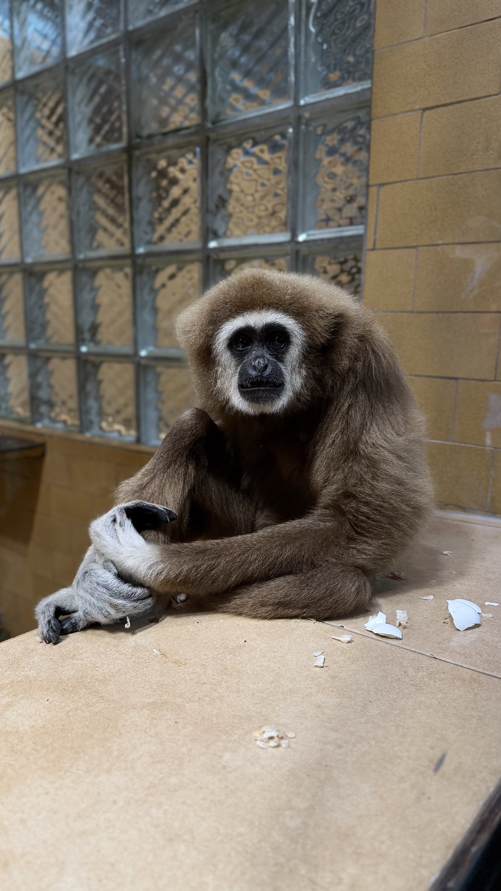 ZOO Olomouc – zoo a farmy, Olomouc – fotka 6