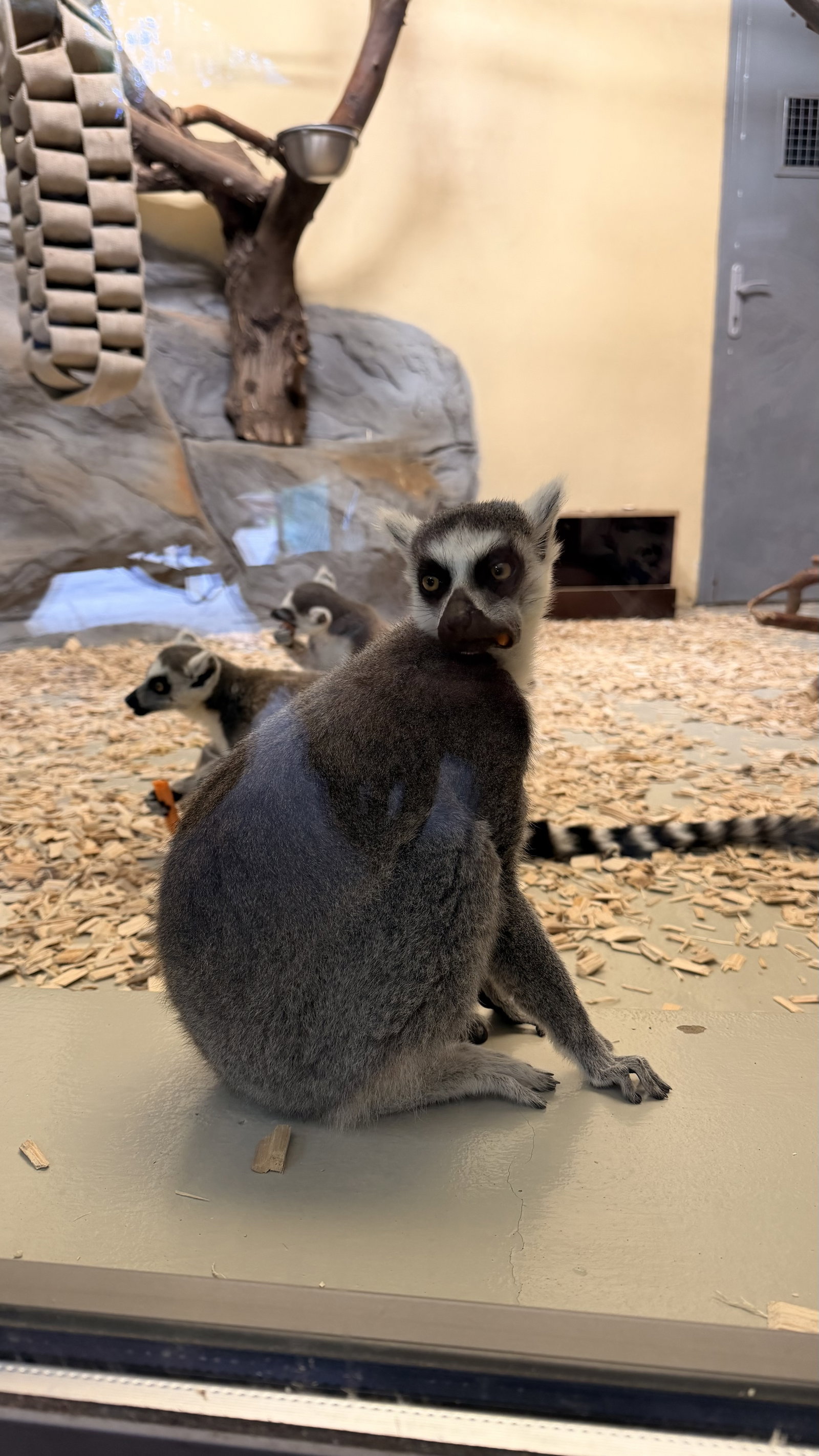 ZOO Olomouc – zoo a farmy, Olomouc – fotka 7
