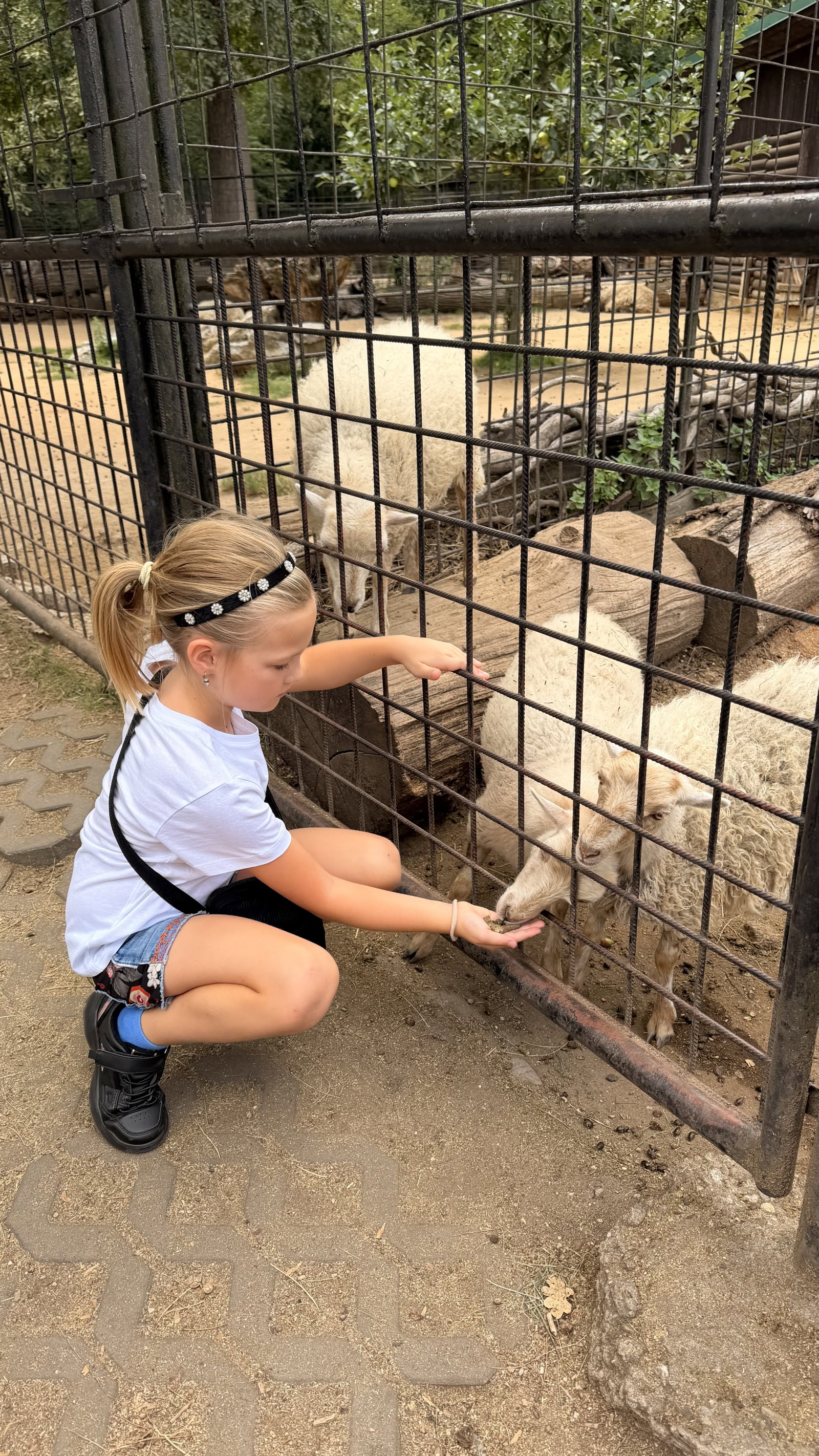 Zoo Hodonín – zoo a farmy, Hodonín – fotka 5