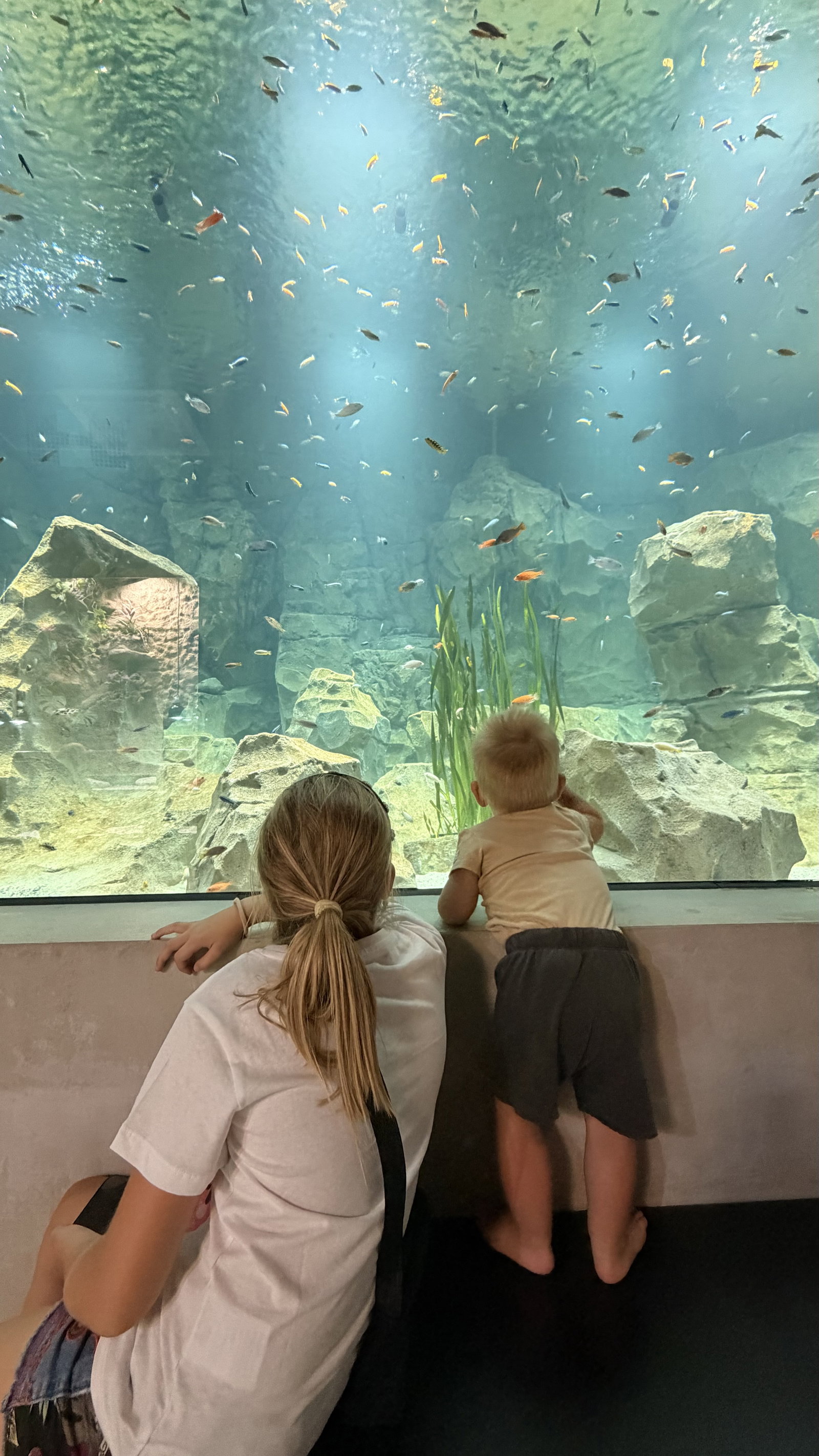 Zoo Hodonín – zoo a farmy, Hodonín – fotka 7