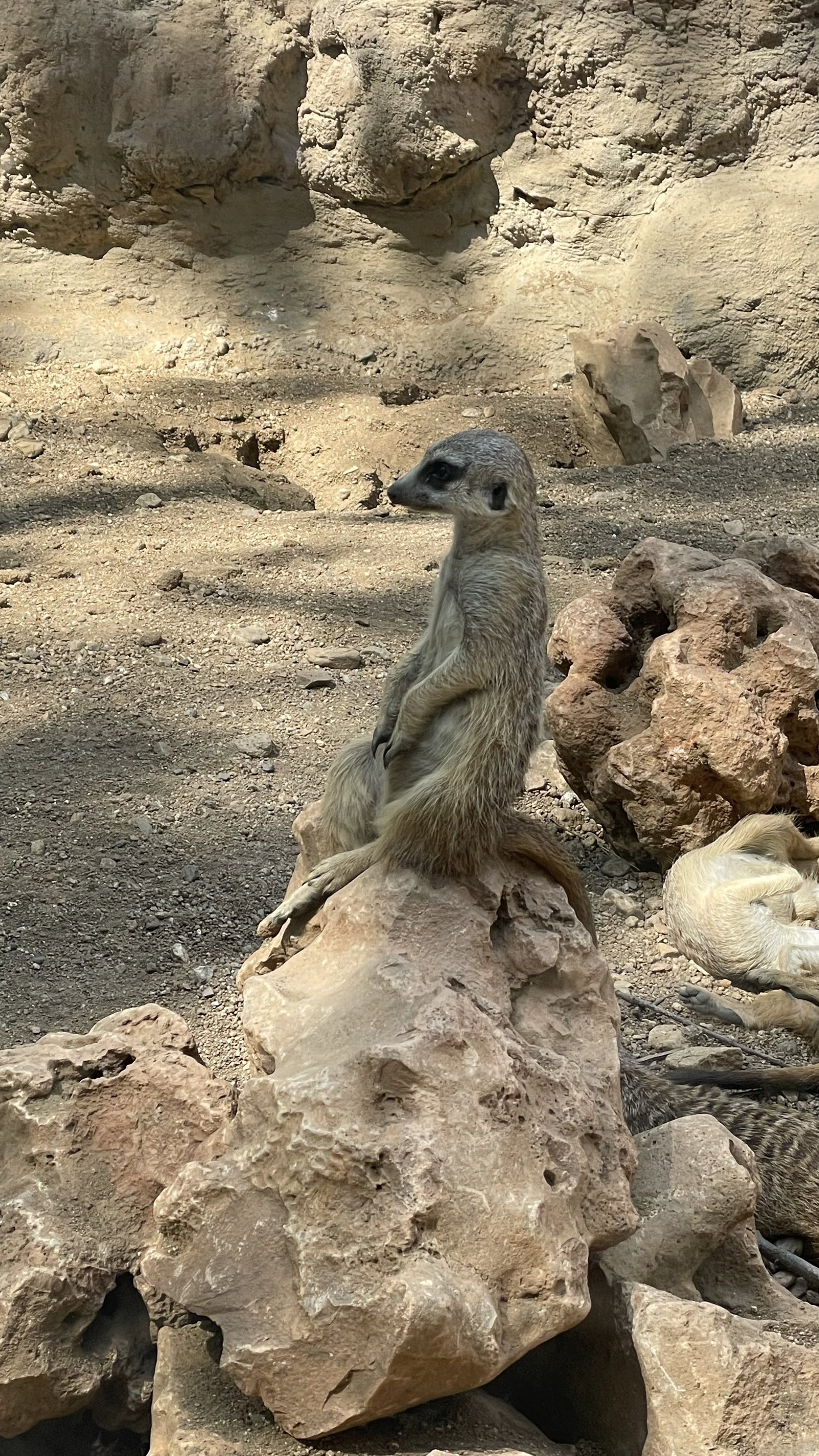 Zoo Hodonín – zoo a farmy, Hodonín – fotka 9