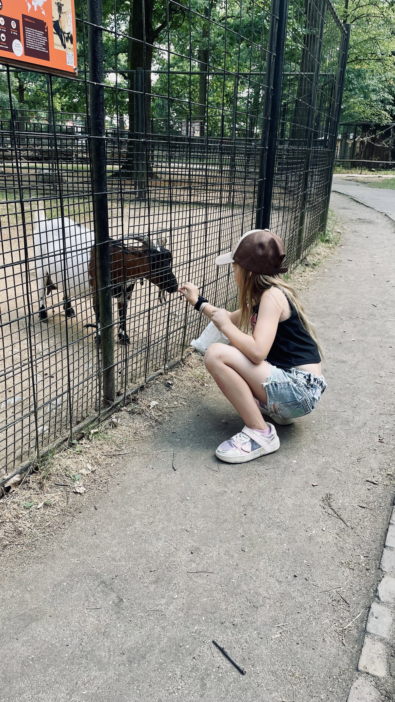 Zoo Hodonín – zoo a farmy, Hodonín – fotka 11
