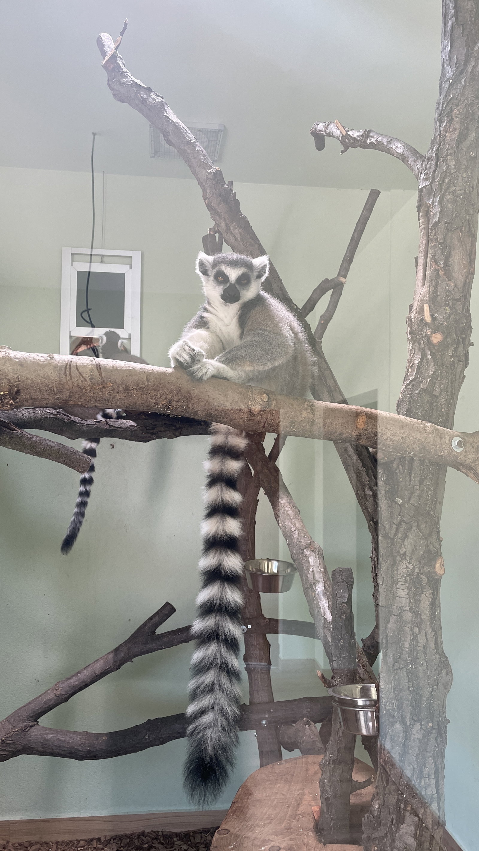 ZOO Sedlec – zoo a farmy, Sedlec – fotka 2