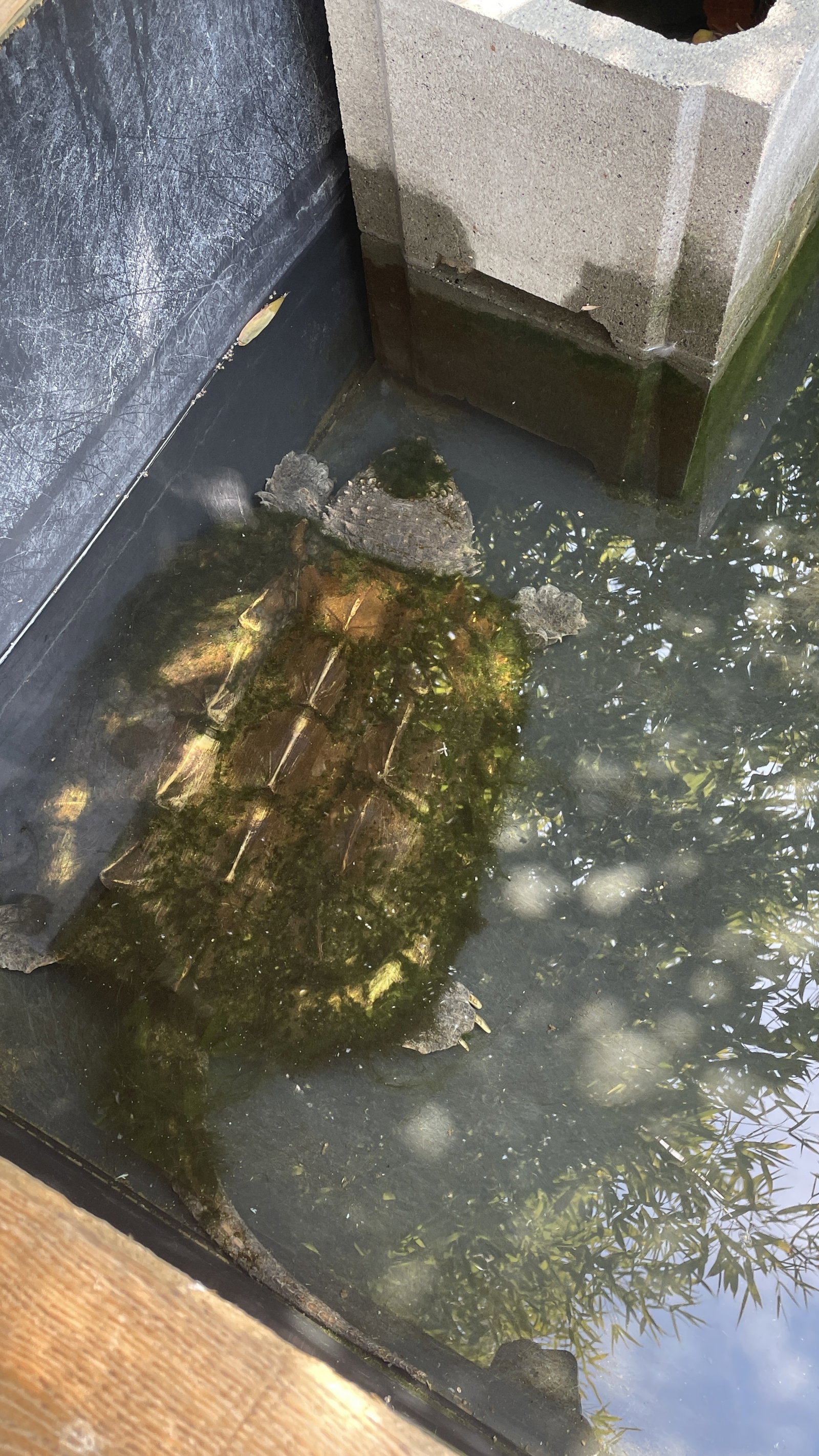 ZOO Sedlec – zoo a farmy, Sedlec – fotka 4