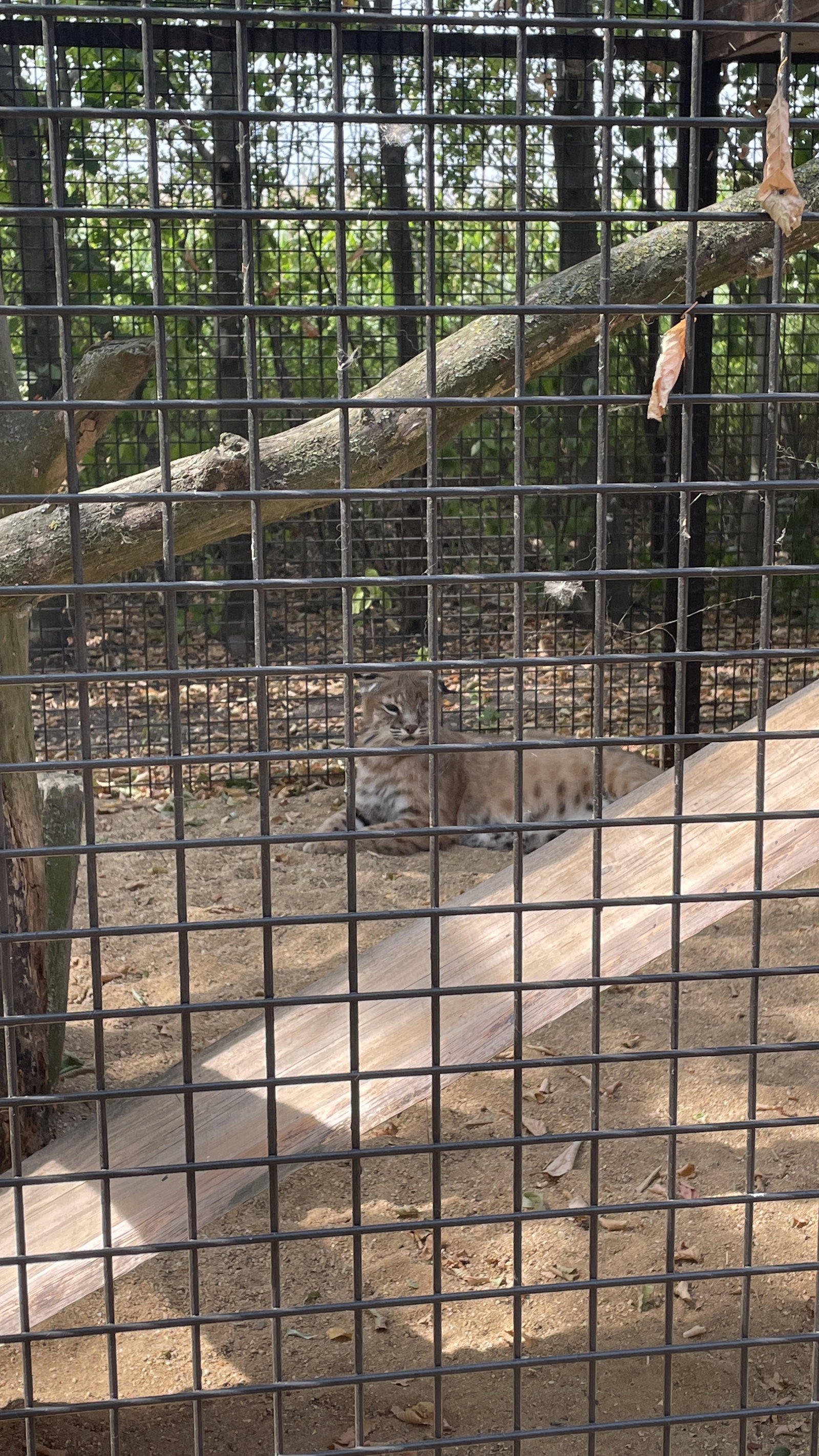 ZOO Sedlec – zoo a farmy, Sedlec – fotka 7
