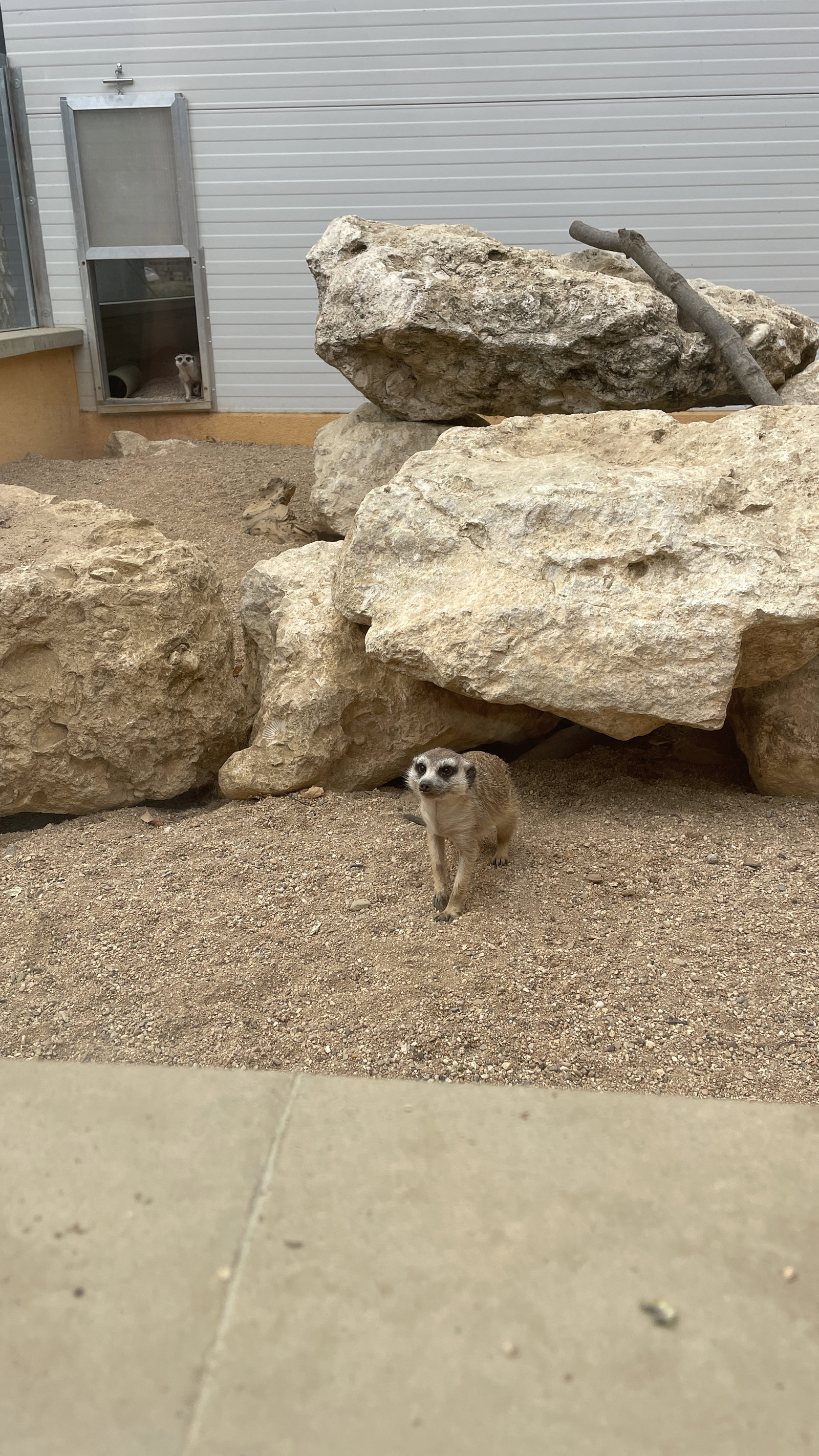 ZOO Sedlec – zoo a farmy, Sedlec – fotka 12