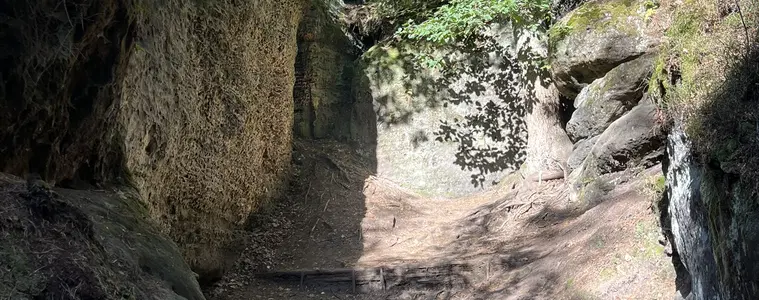 Skalní bludiště u Mšena – příroda, Mšeno