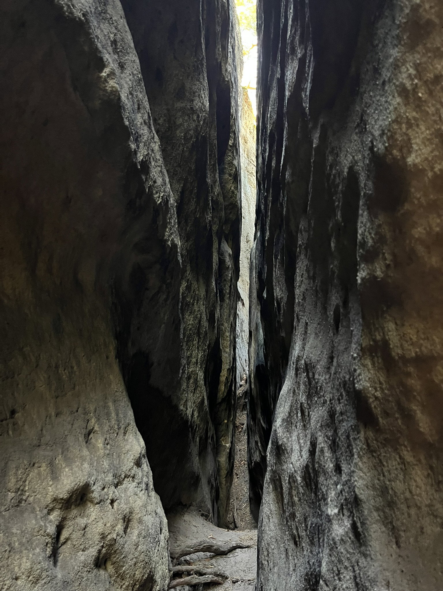 Skalní bludiště u Mšena – příroda, Mšeno – fotka 6