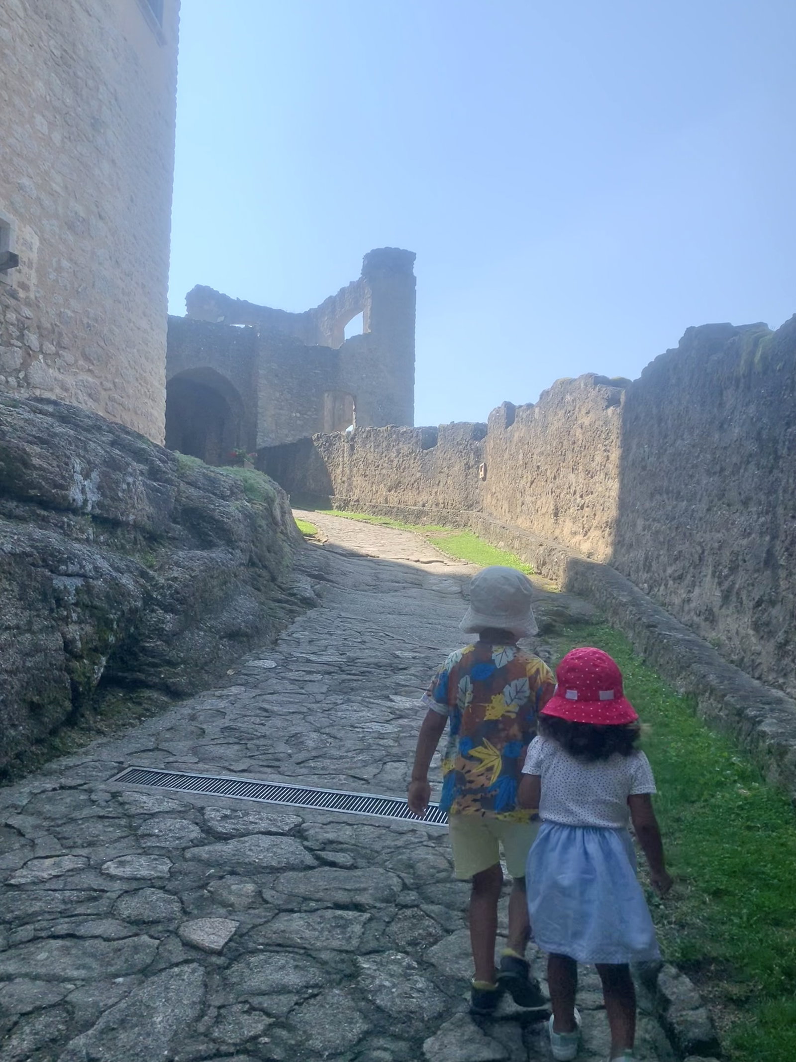 Hrad Landštejn – hrady, zámky, zříceniny, Staré Město pod Landštejnem – fotka 8