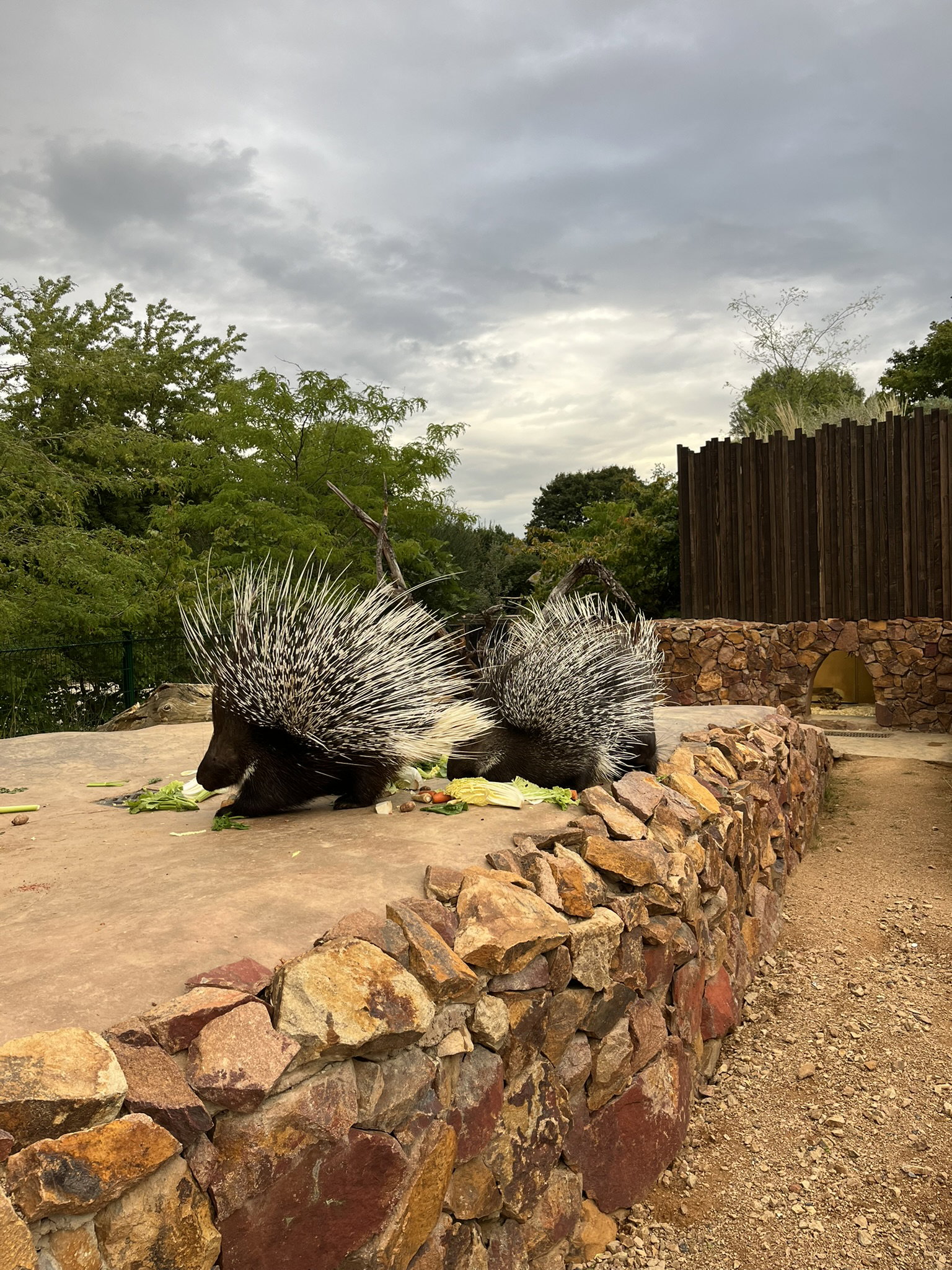 Zoo Praha – zoo a farmy, Praha – fotka 4
