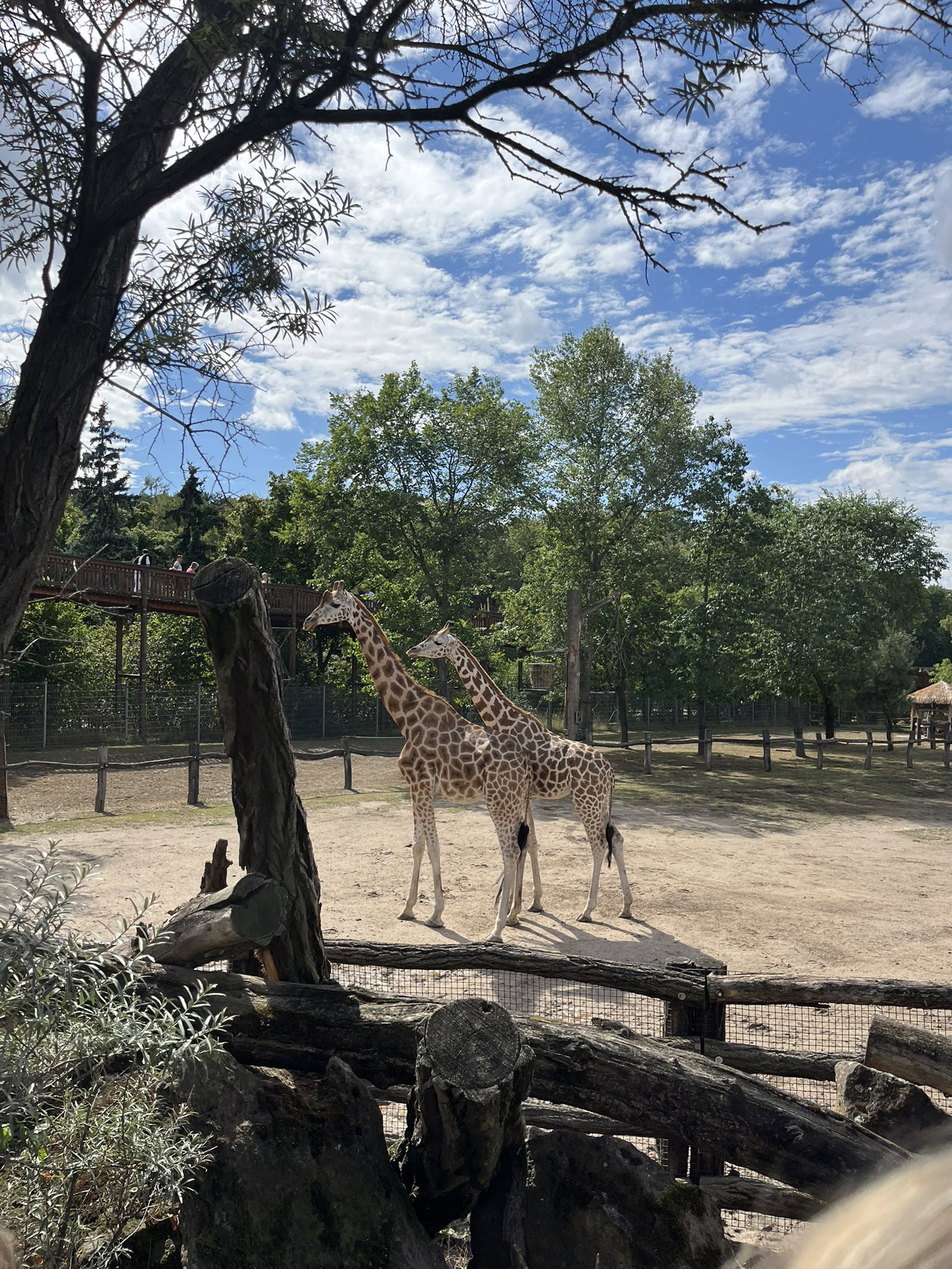 Zoo Praha – zoo a farmy, Praha – fotka 8