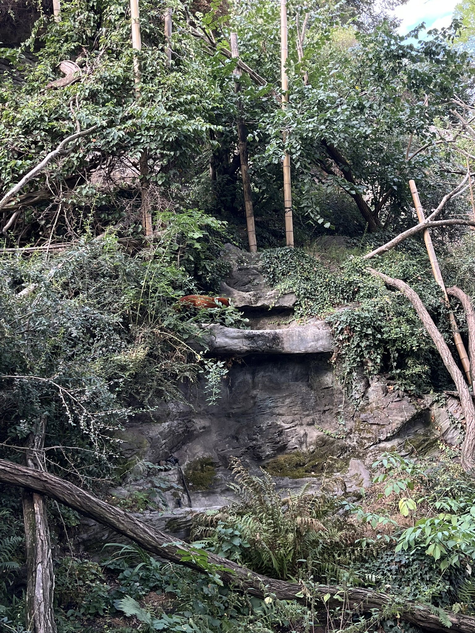 Zoo Praha – zoo a farmy, Praha – fotka 10