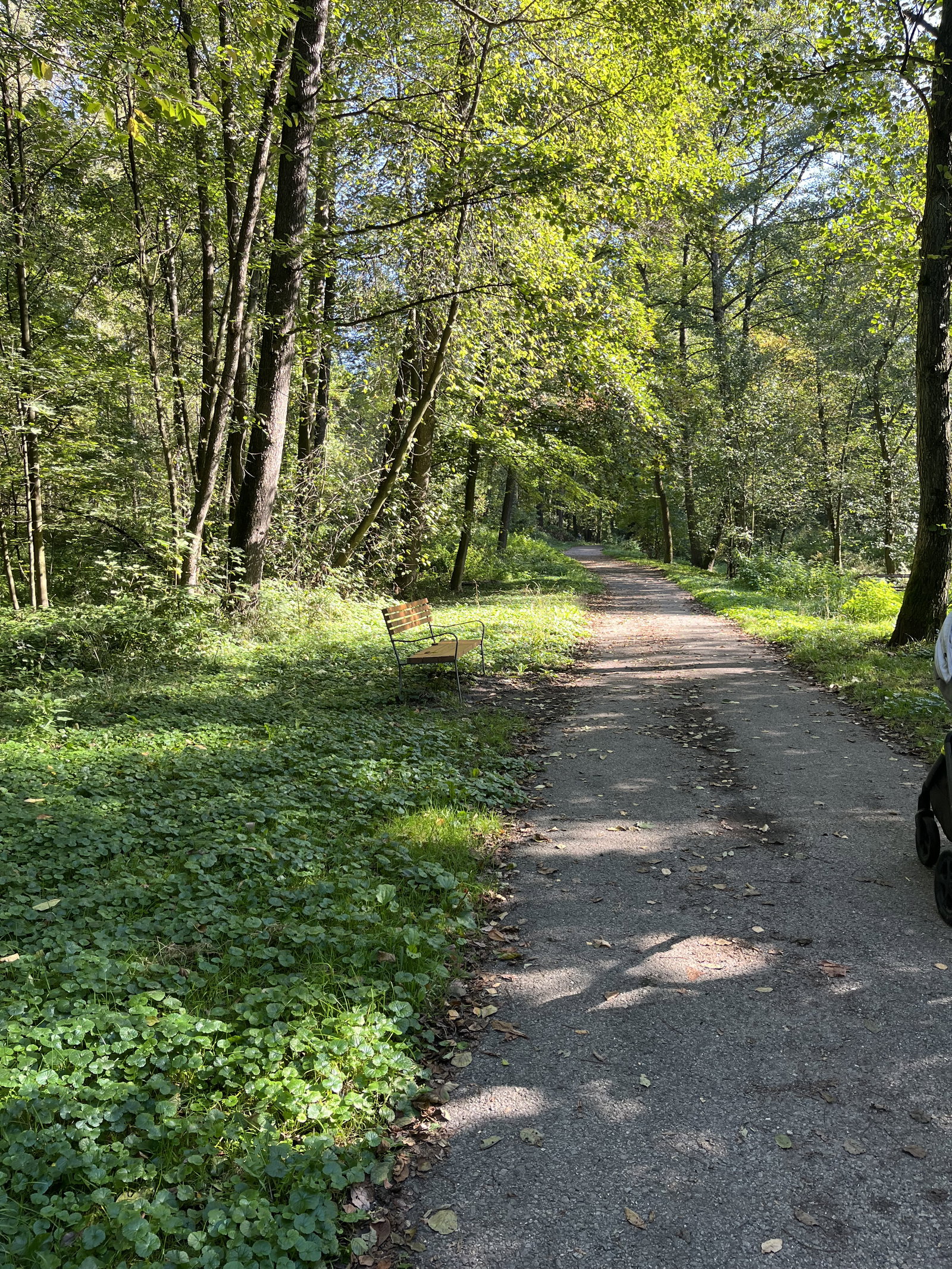 Park Lázně Darkov – příroda, Karviná