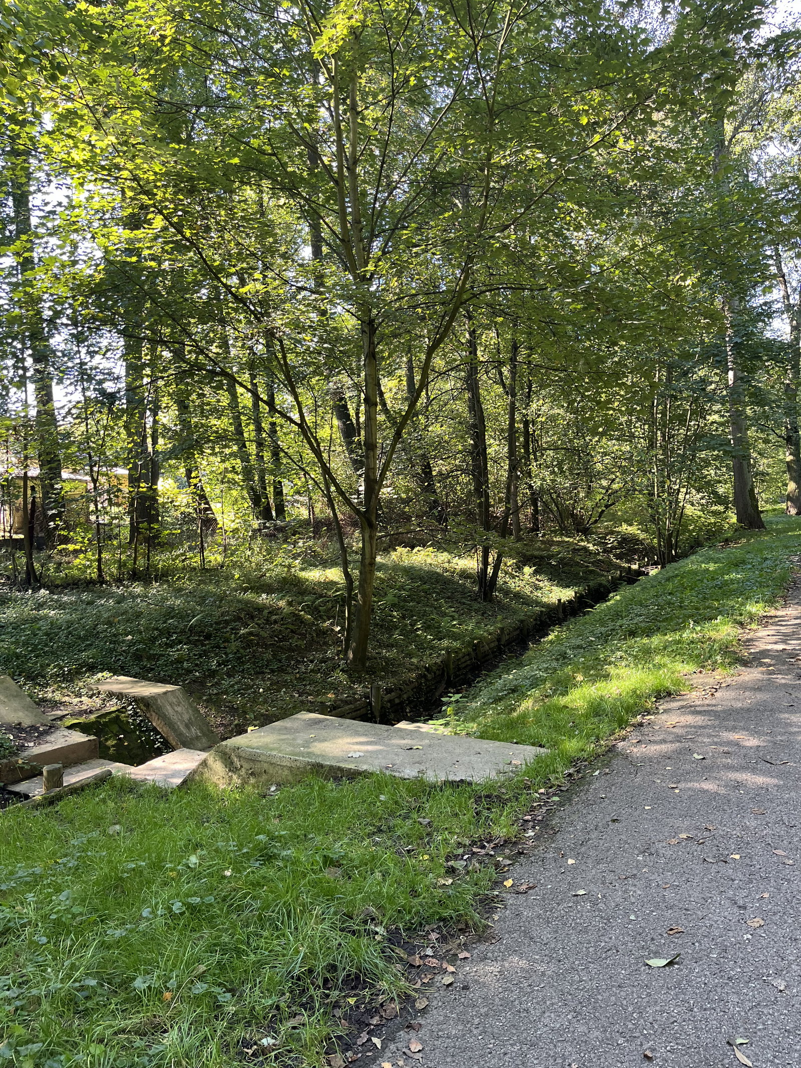 Park Lázně Darkov – příroda, Karviná – fotka 2