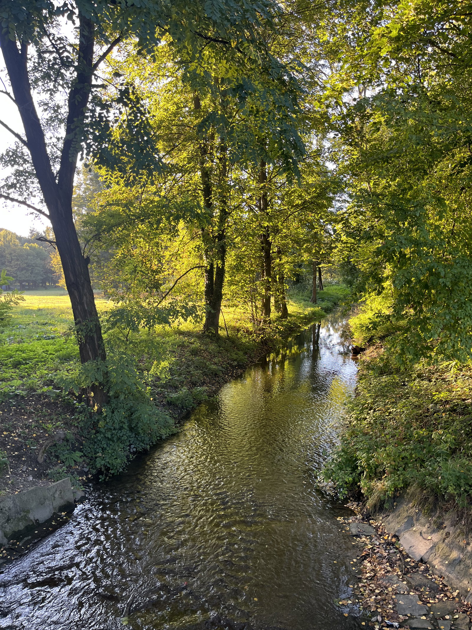 Park Lázně Darkov – příroda, Karviná – fotka 3