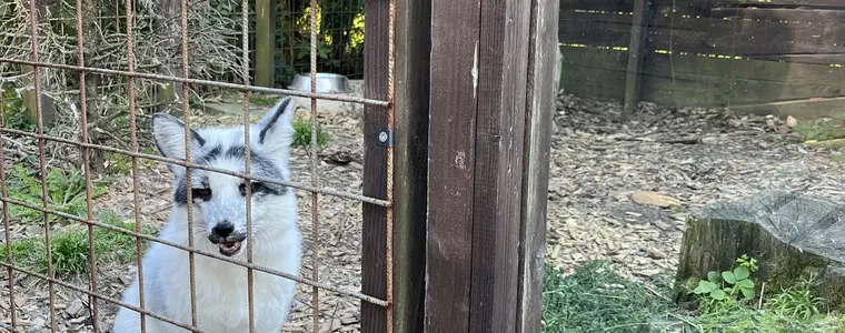 MiniZOO Vendryně – zoo a farmy, Vendryně