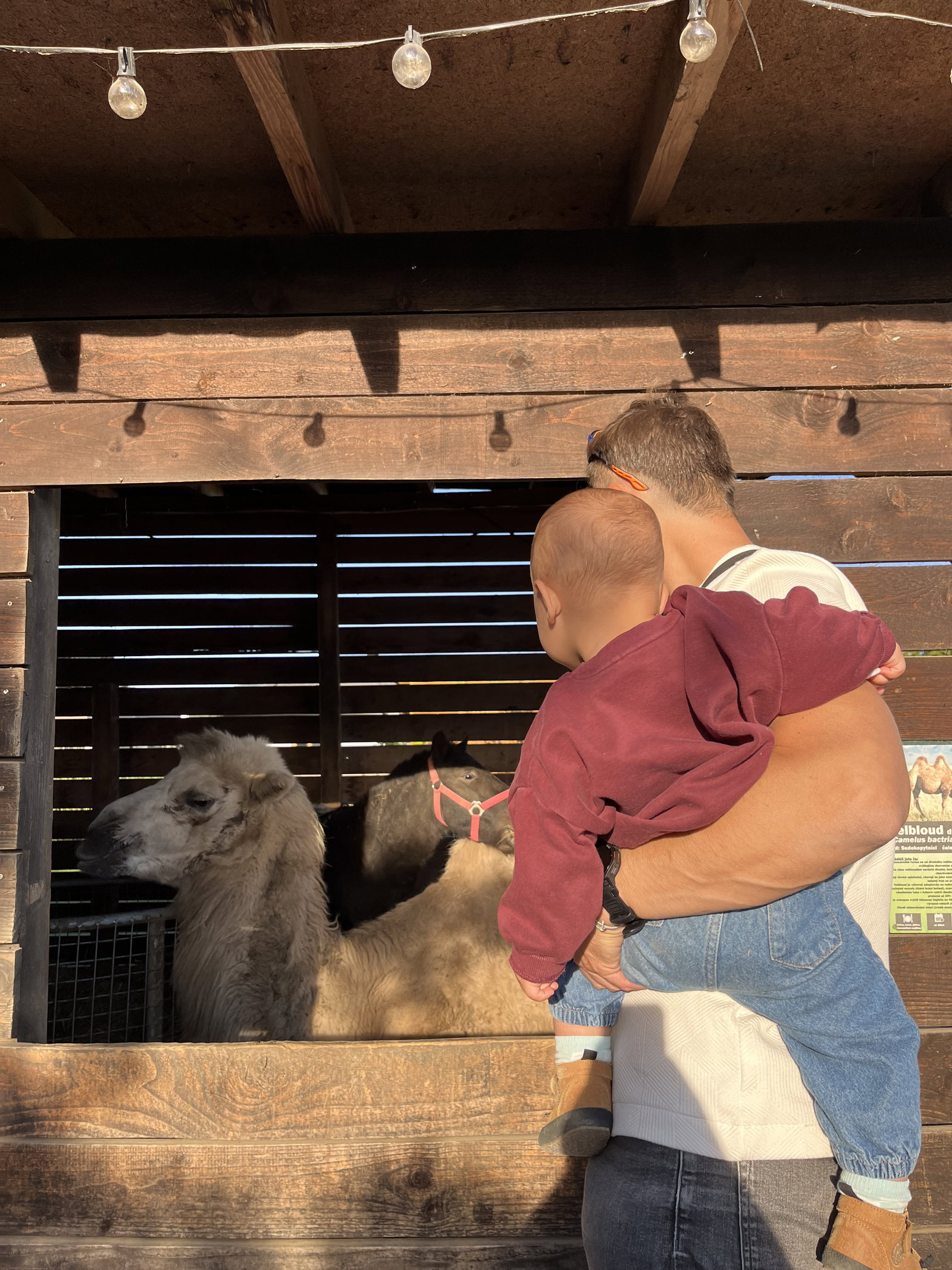 MiniZOO Vendryně – zoo a farmy, Vendryně – fotka 5