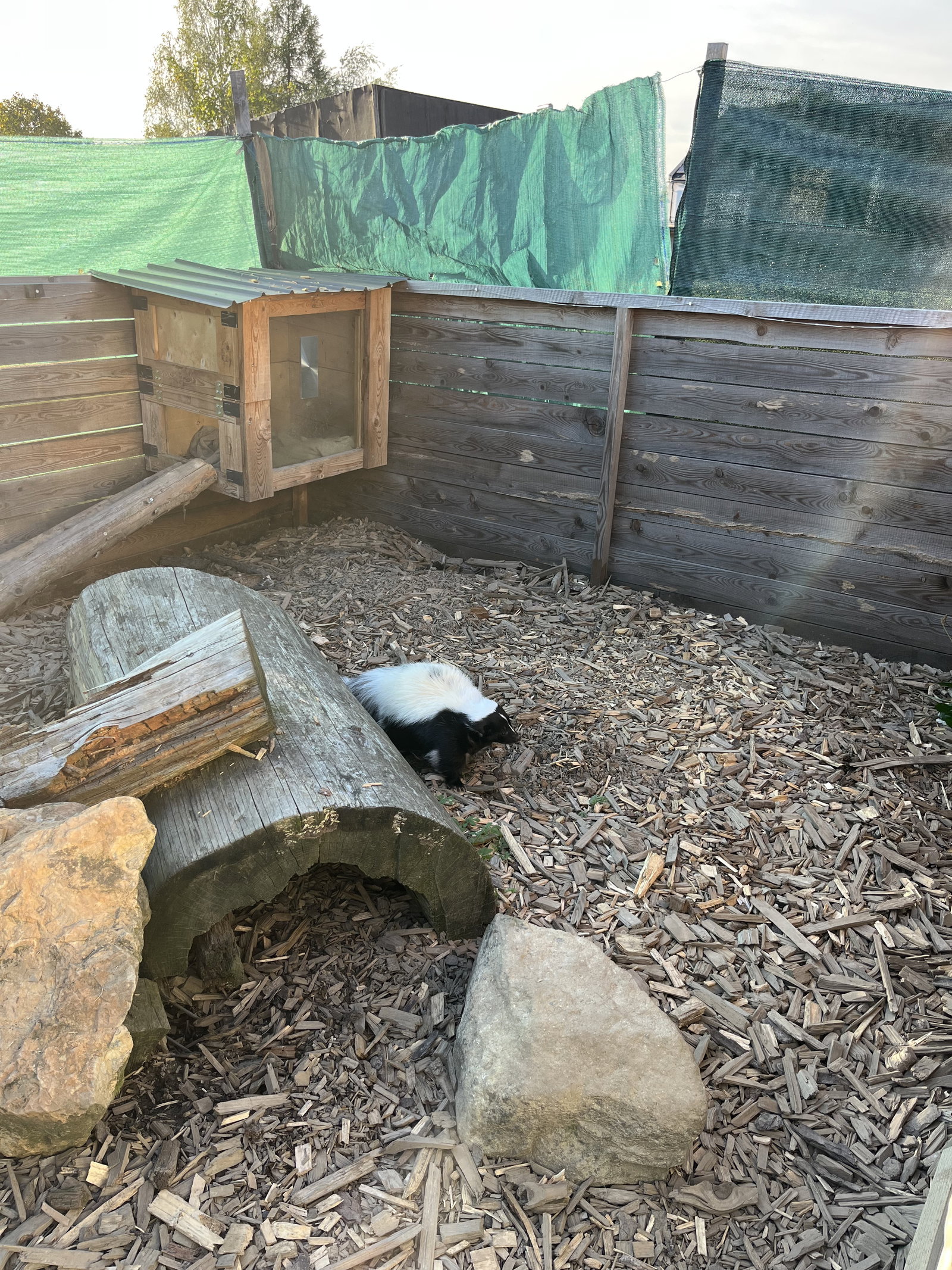 MiniZOO Vendryně – zoo a farmy, Vendryně – fotka 6