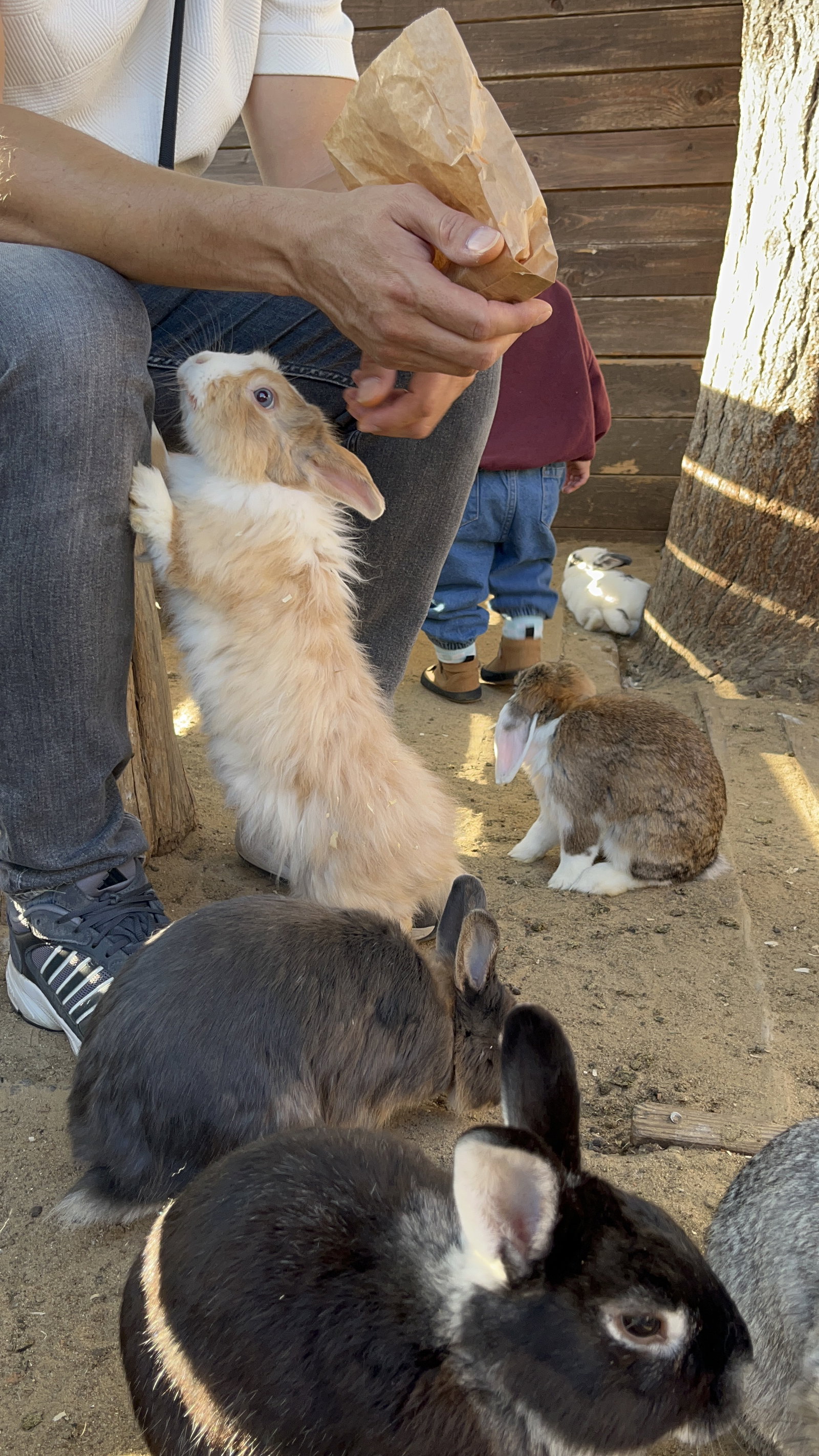 MiniZOO Vendryně – zoo a farmy, Vendryně – fotka 9