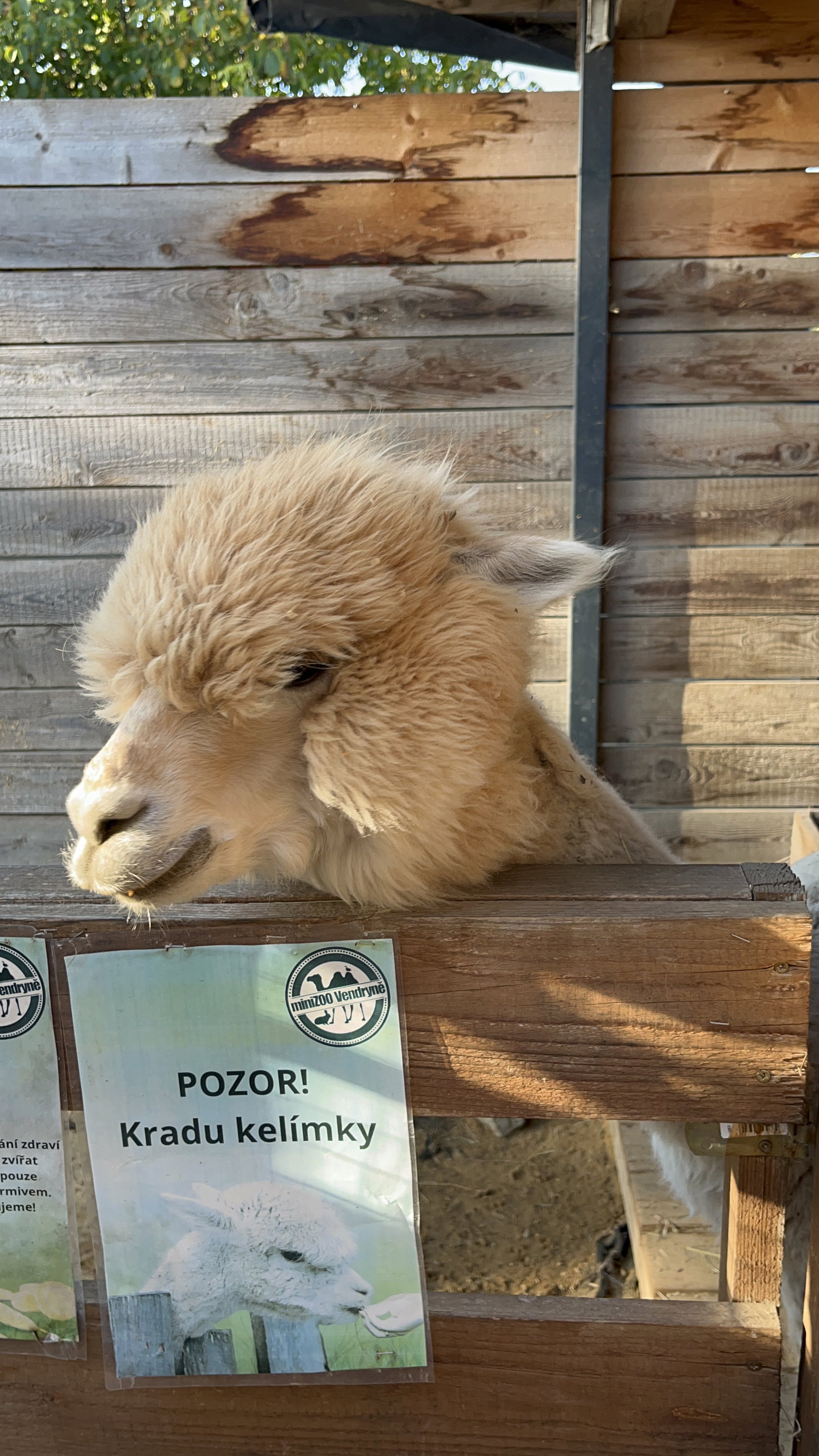 MiniZOO Vendryně – zoo a farmy, Vendryně – fotka 11
