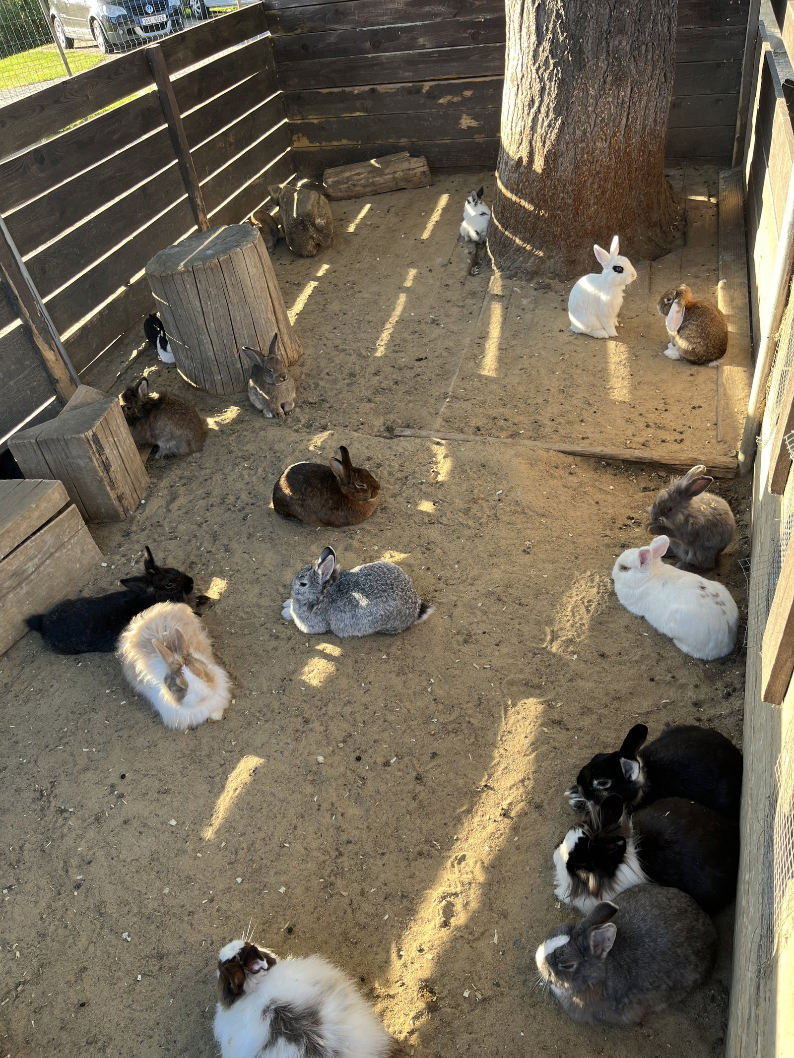 MiniZOO Vendryně – zoo a farmy, Vendryně – fotka 12