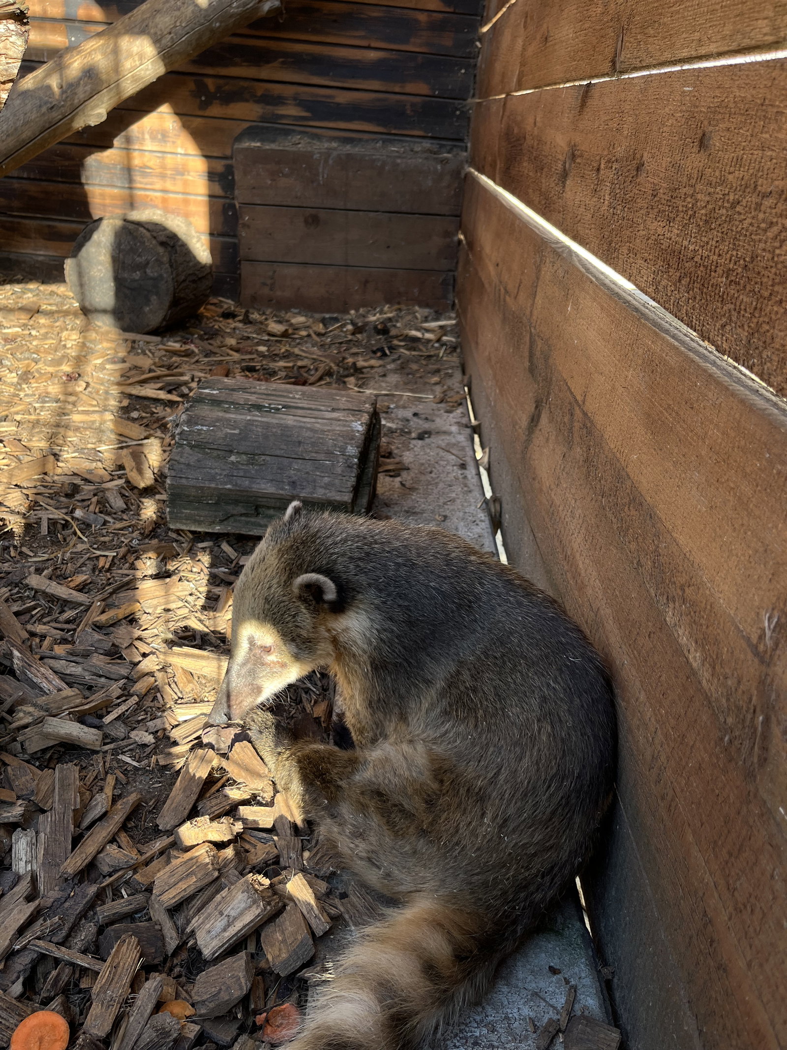 MiniZOO Vendryně – zoo a farmy, Vendryně – fotka 13