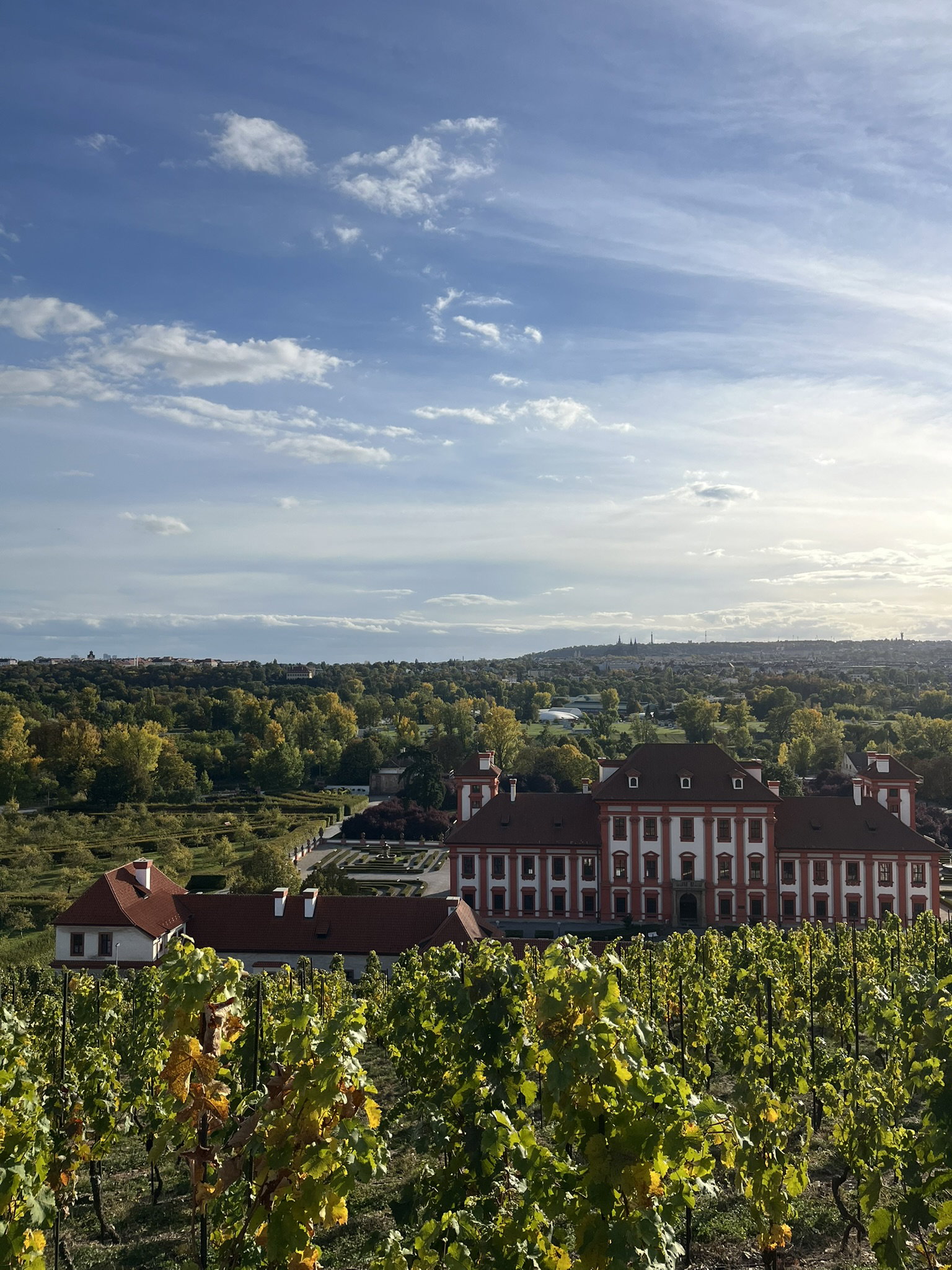 Botanická zahrada Praha – příroda, Praha – fotka 11