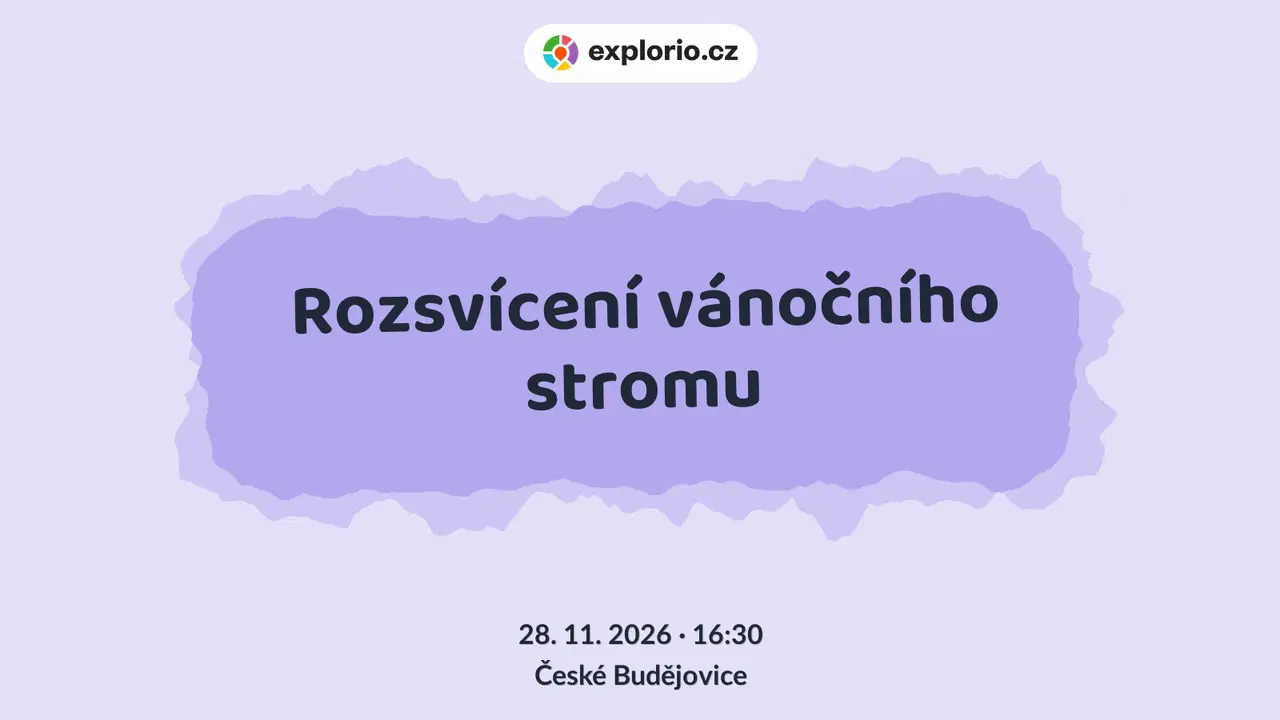 Rozsvícení vánočního stromu – festivaly a Slavnosti, České Budějovice