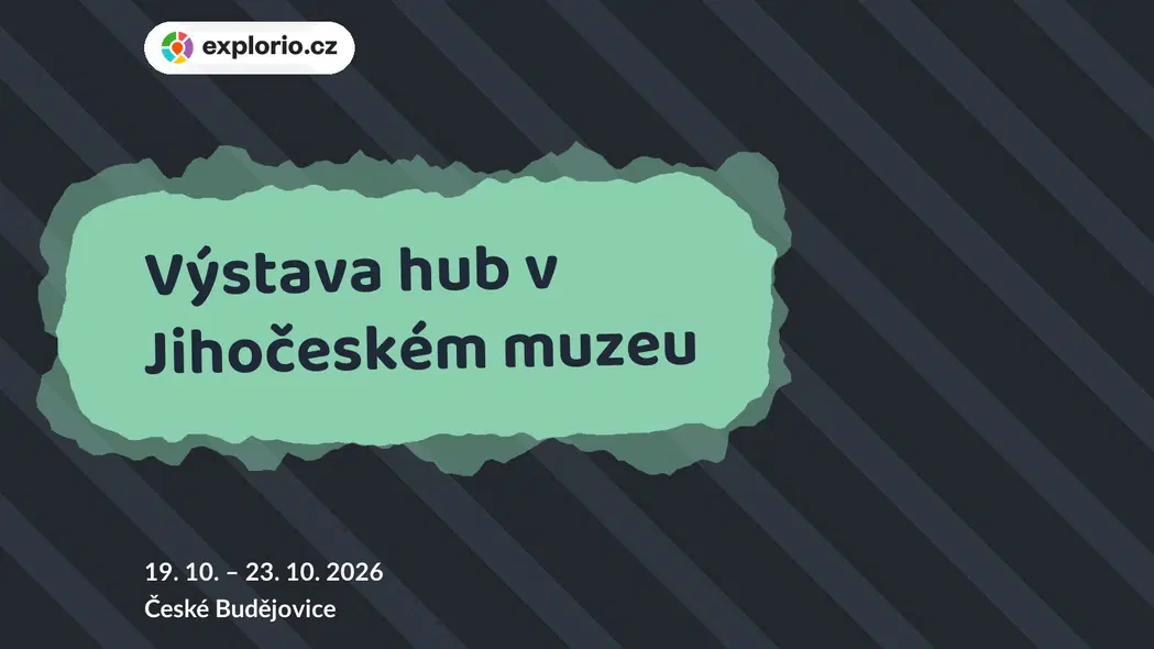 Výstava hub v Jihočeském muzeu – prohlídky a Muzea, České Budějovice