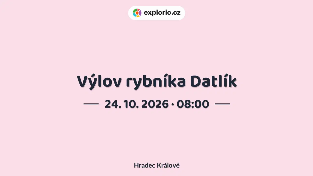 Výlov rybníka Datlík – příroda a Zvířátka, Hradec Králové