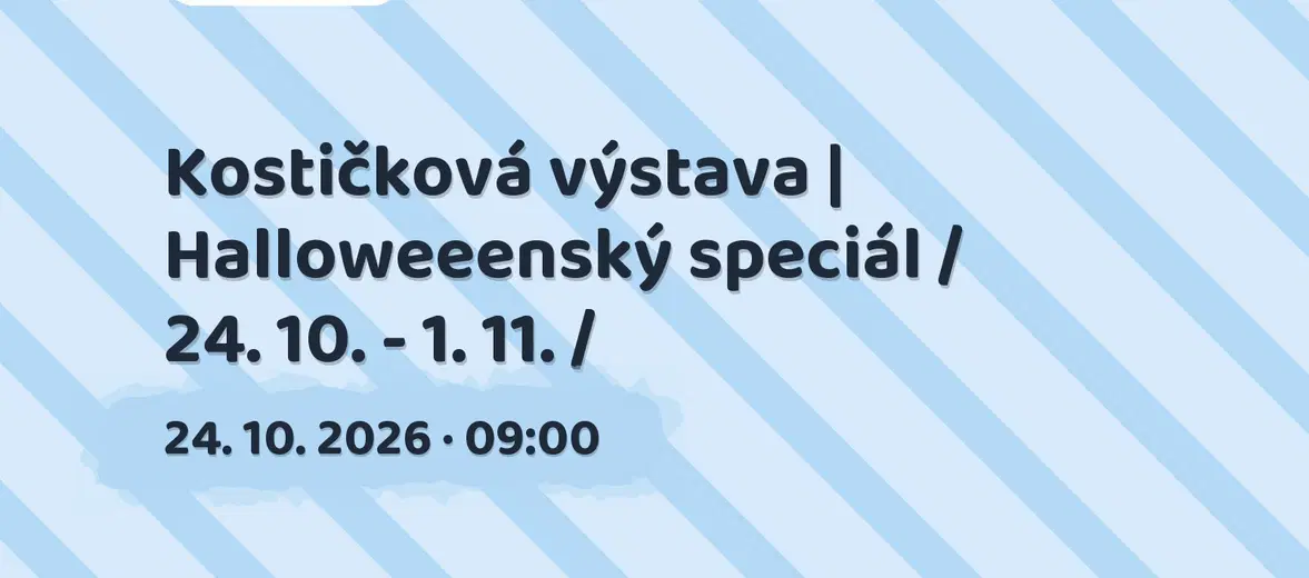Kostičková výstava | Halloweeenský speciál / 24. 10. - 1. 11. / – prohlídky a Muzea, Hradec Králové