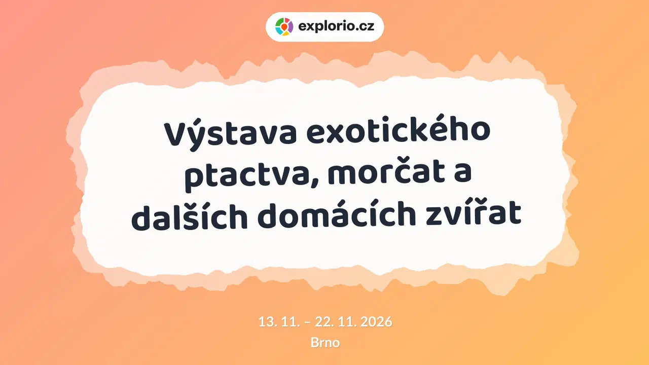 Výstava exotického ptactva, morčat a dalších domácích zvířat – příroda a Zvířátka, Brno