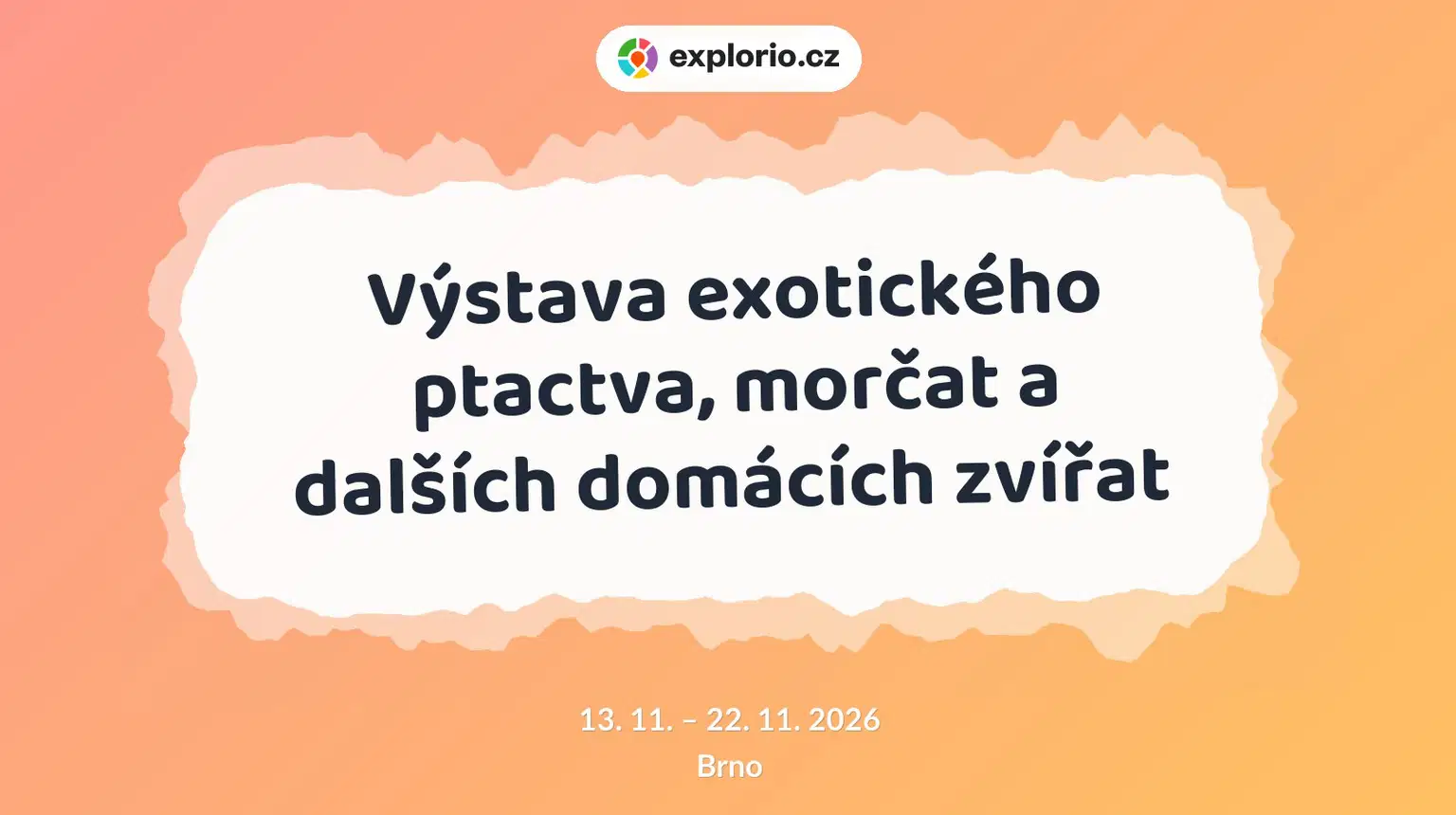 Výstava exotického ptactva, morčat a dalších domácích zvířat – příroda a Zvířátka, Brno