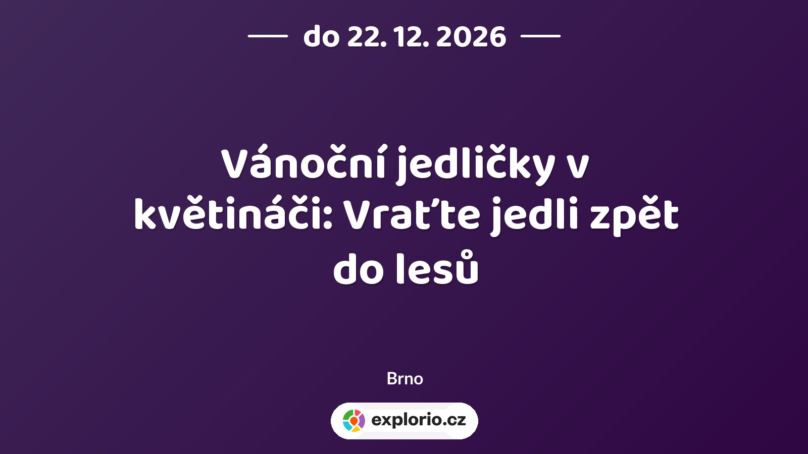 Vánoční jedličky v květináči: Vraťte jedli zpět do lesů – příroda a Zvířátka, Brno