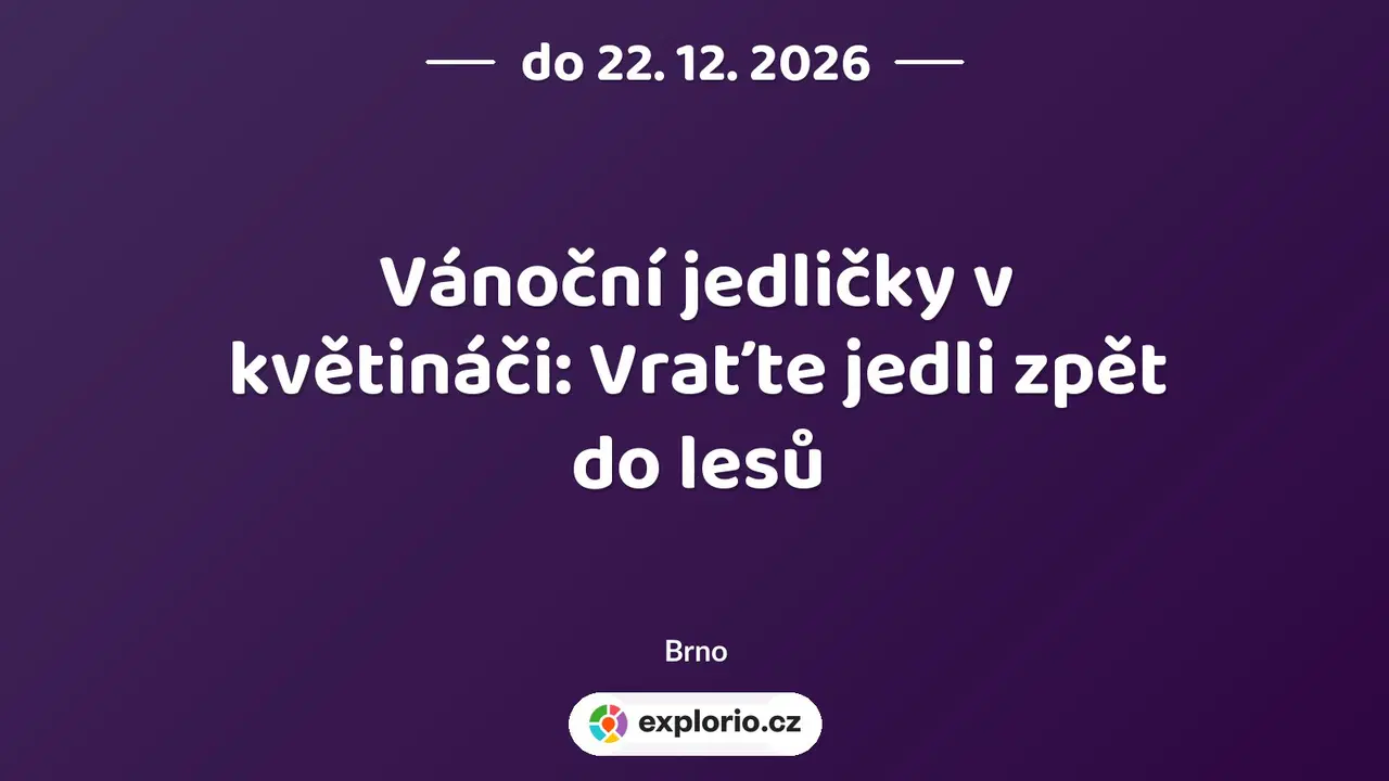 Vánoční jedličky v květináči: Vraťte jedli zpět do lesů – příroda a Zvířátka, Brno