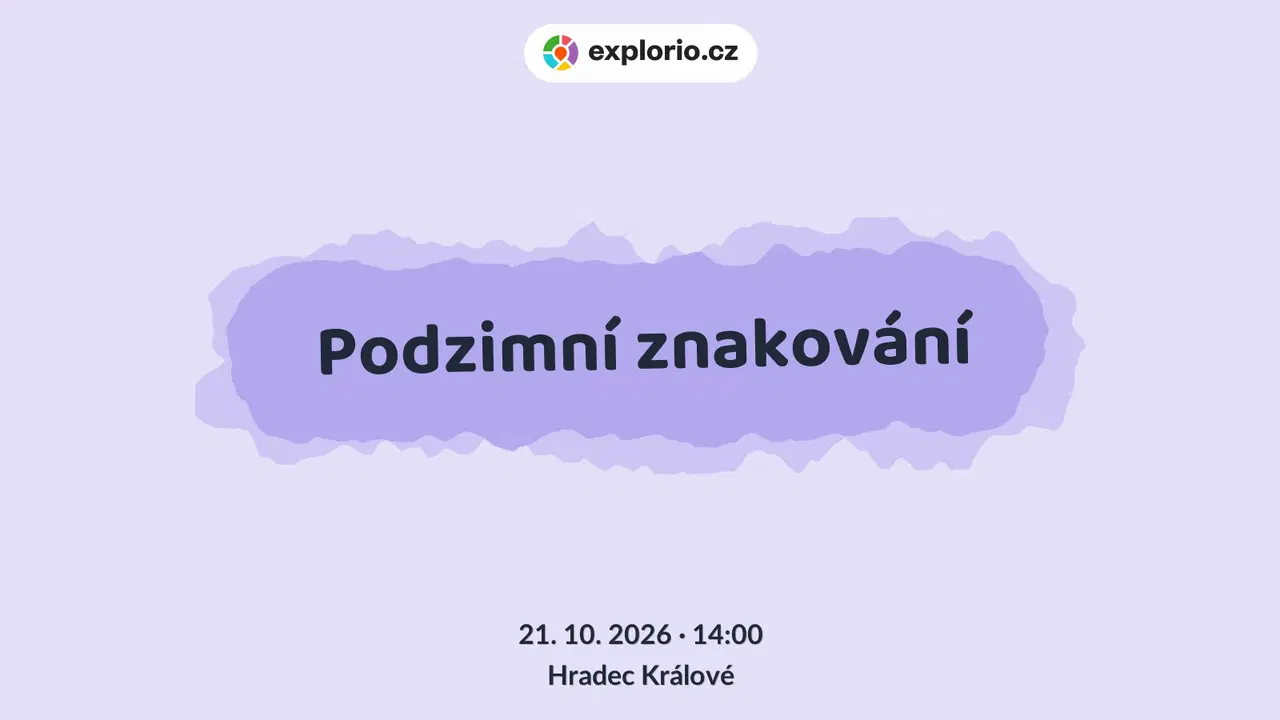 Podzimní znakování – tvořivé dílny a Workshopy, Hradec Králové
