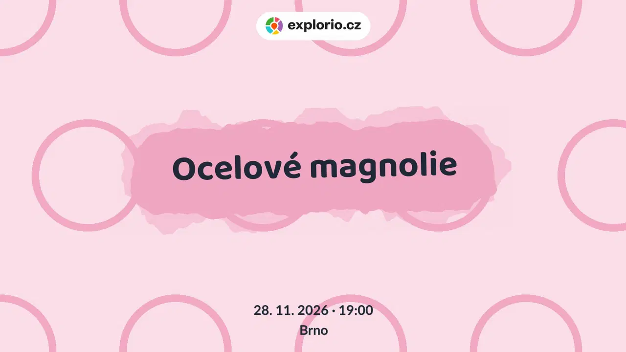 Ocelové magnolie – divadlo, Hudba a Kino, Brno