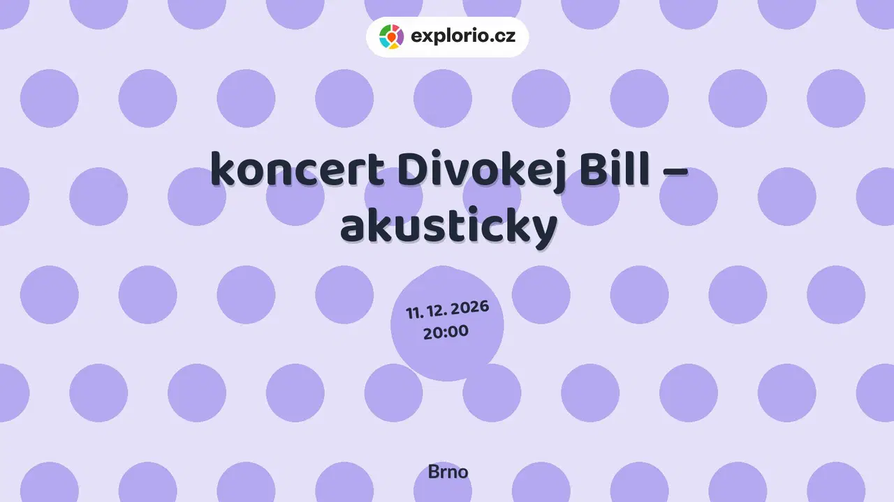 koncert Divokej Bill – akusticky – divadlo, Hudba a Kino, Brno