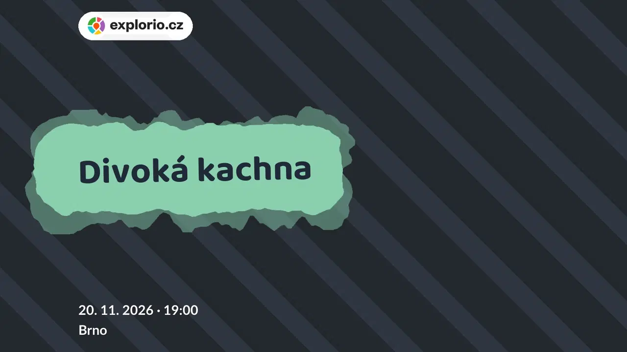 Divoká kachna – divadlo, Hudba a Kino, Brno